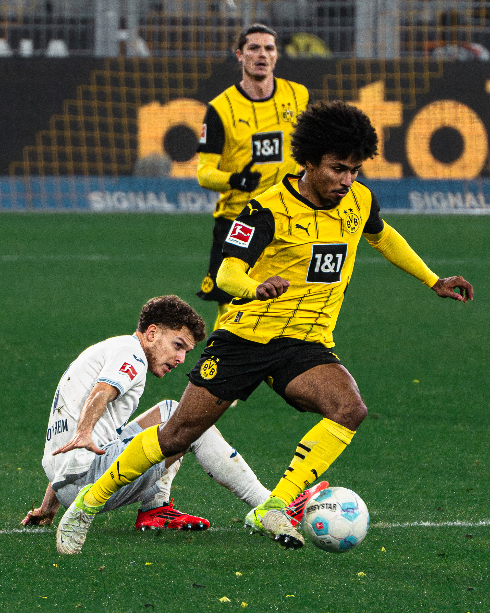 Borussia Dortmund vs. TSG Hoffenheim, 15.12.2024