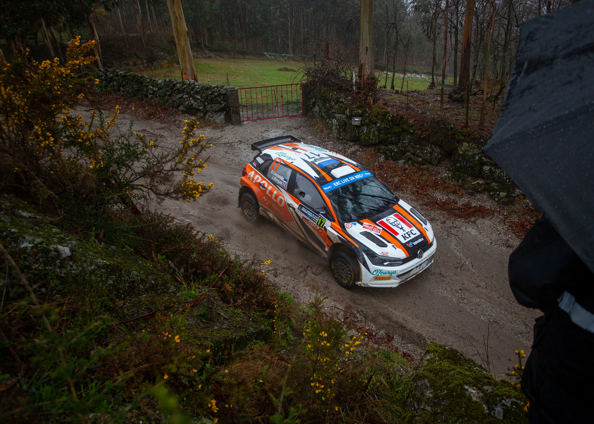 ERC Portugal 2022, March 11, Fafe, Portugal - Photo Edu Almeida / Zoom Motorsport