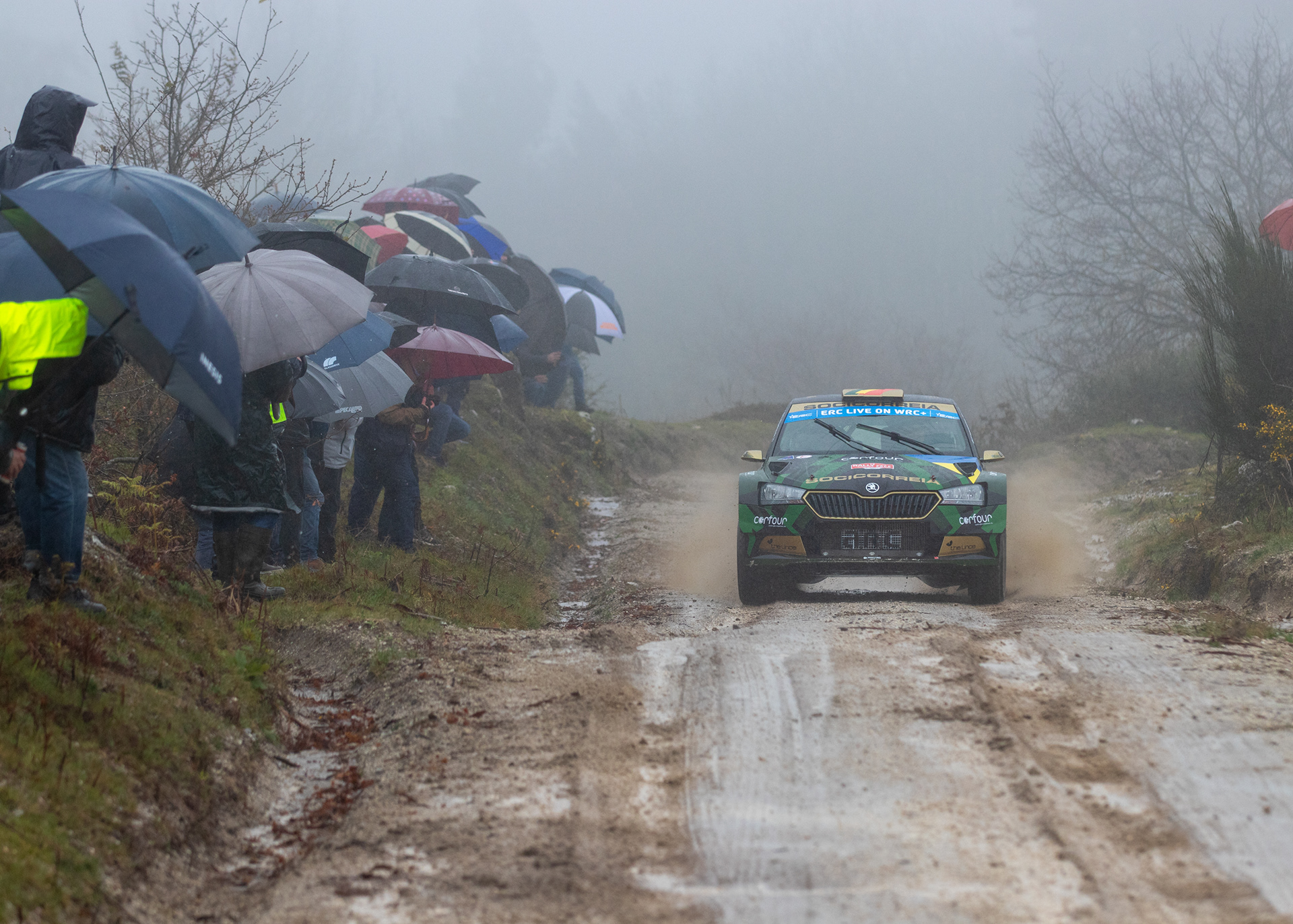 ERC Portugal 2022, March 11, Fafe, Portugal - Photo Edu Almeida / Zoom Motorsport