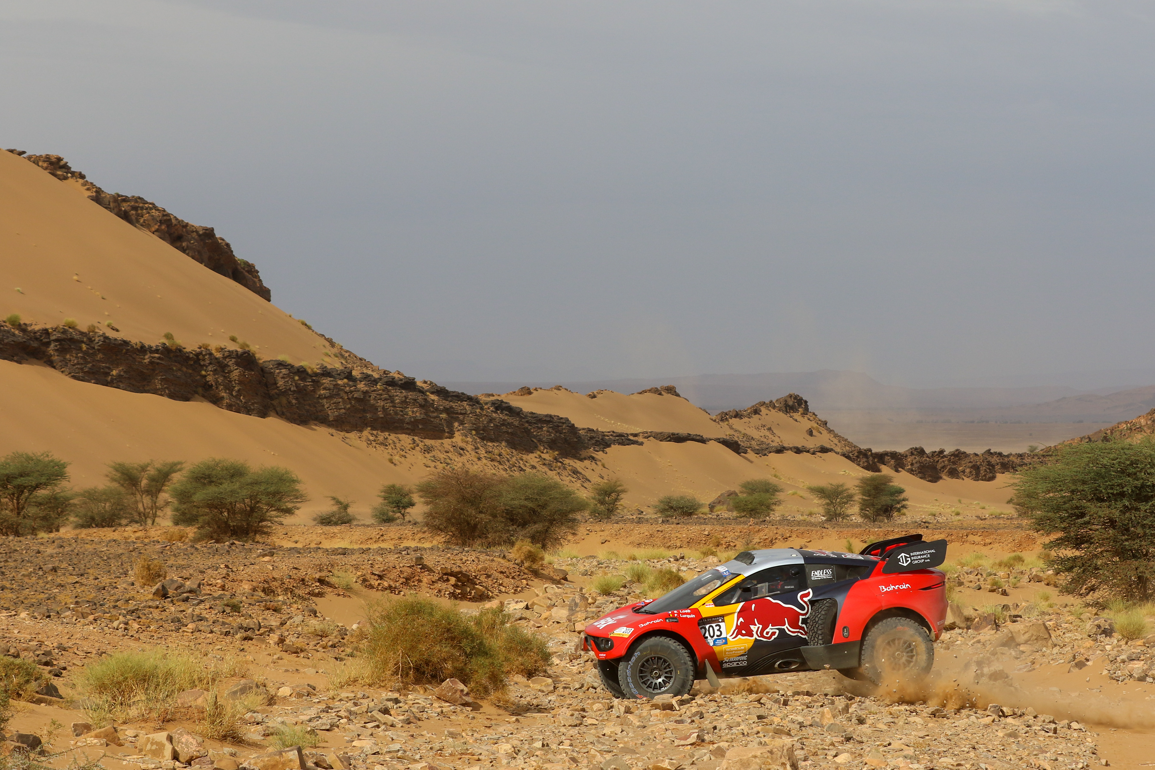203 - Sebastien Loeb (FRA) / Fabian Lurquin (BEL) - Bahrain Raid Xtreme - Prodrive Hunter, October 17 2023, Zagora Morocoo - Photo Edu Almeida / Photos Dakar