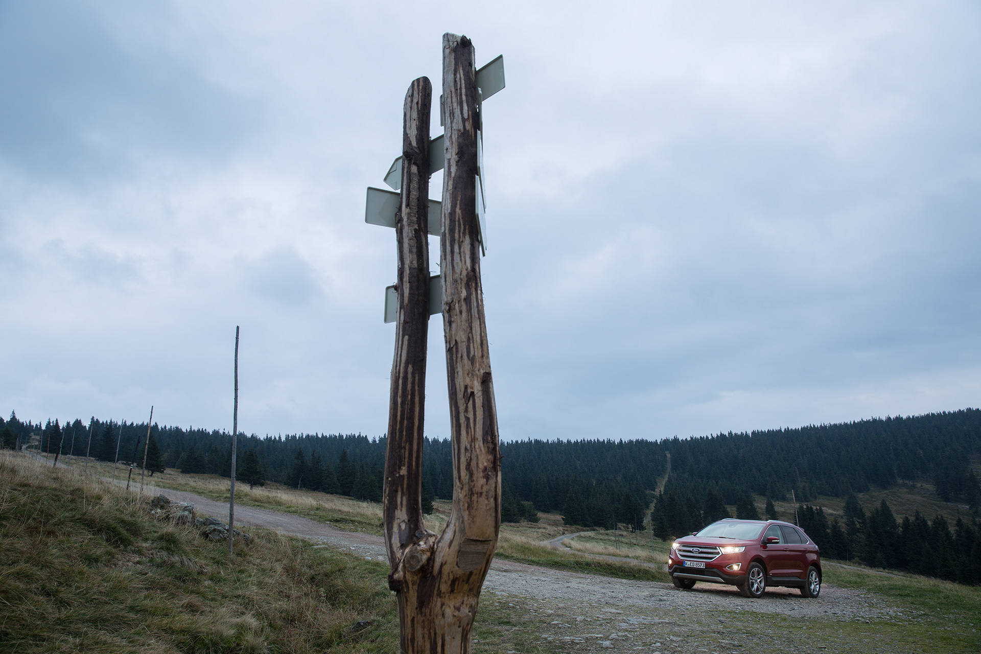 Lukáš Žentel & Milan Jaroš for Ford