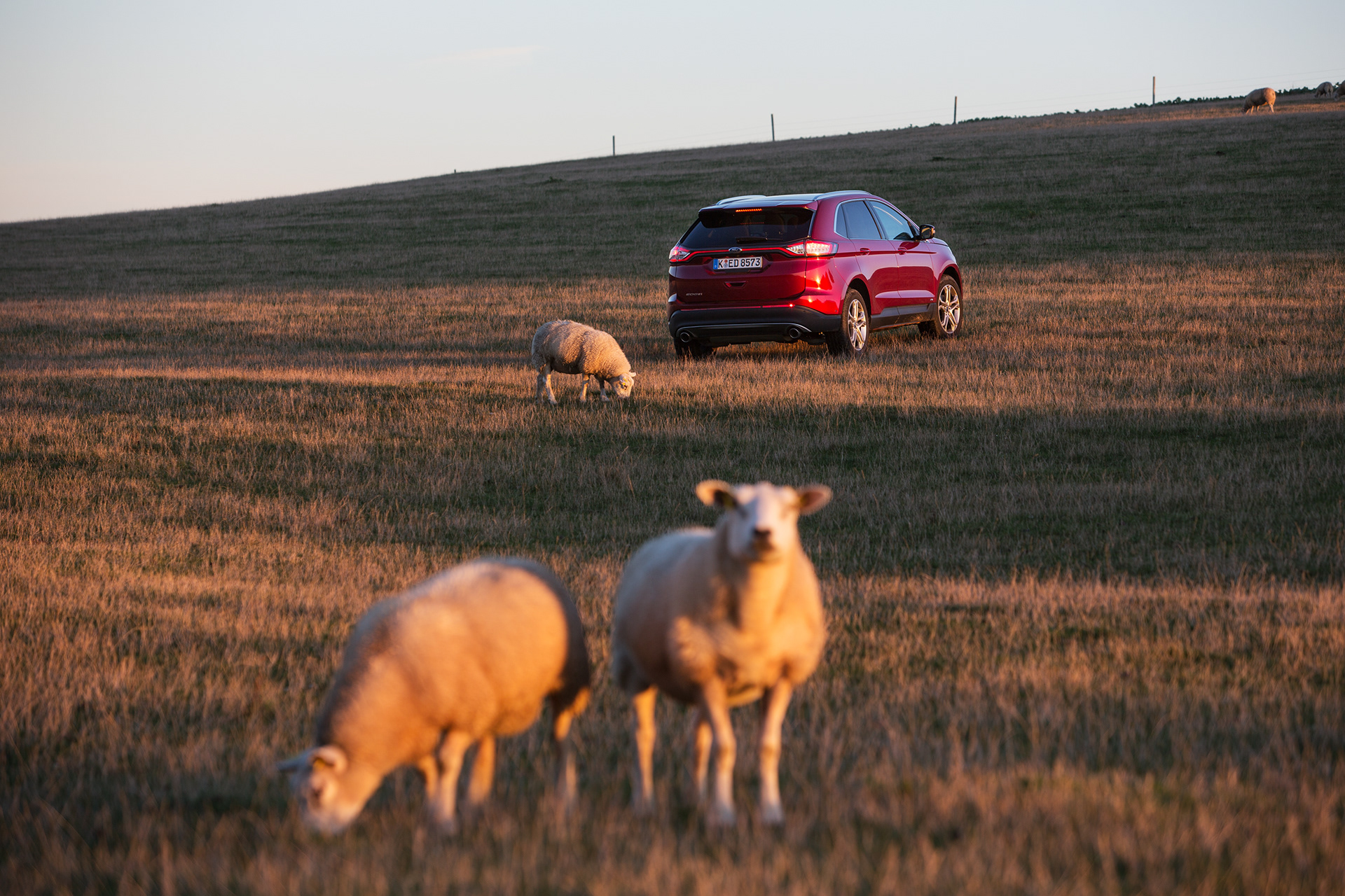Lukáš Žentel & Milan Jaroš for Ford