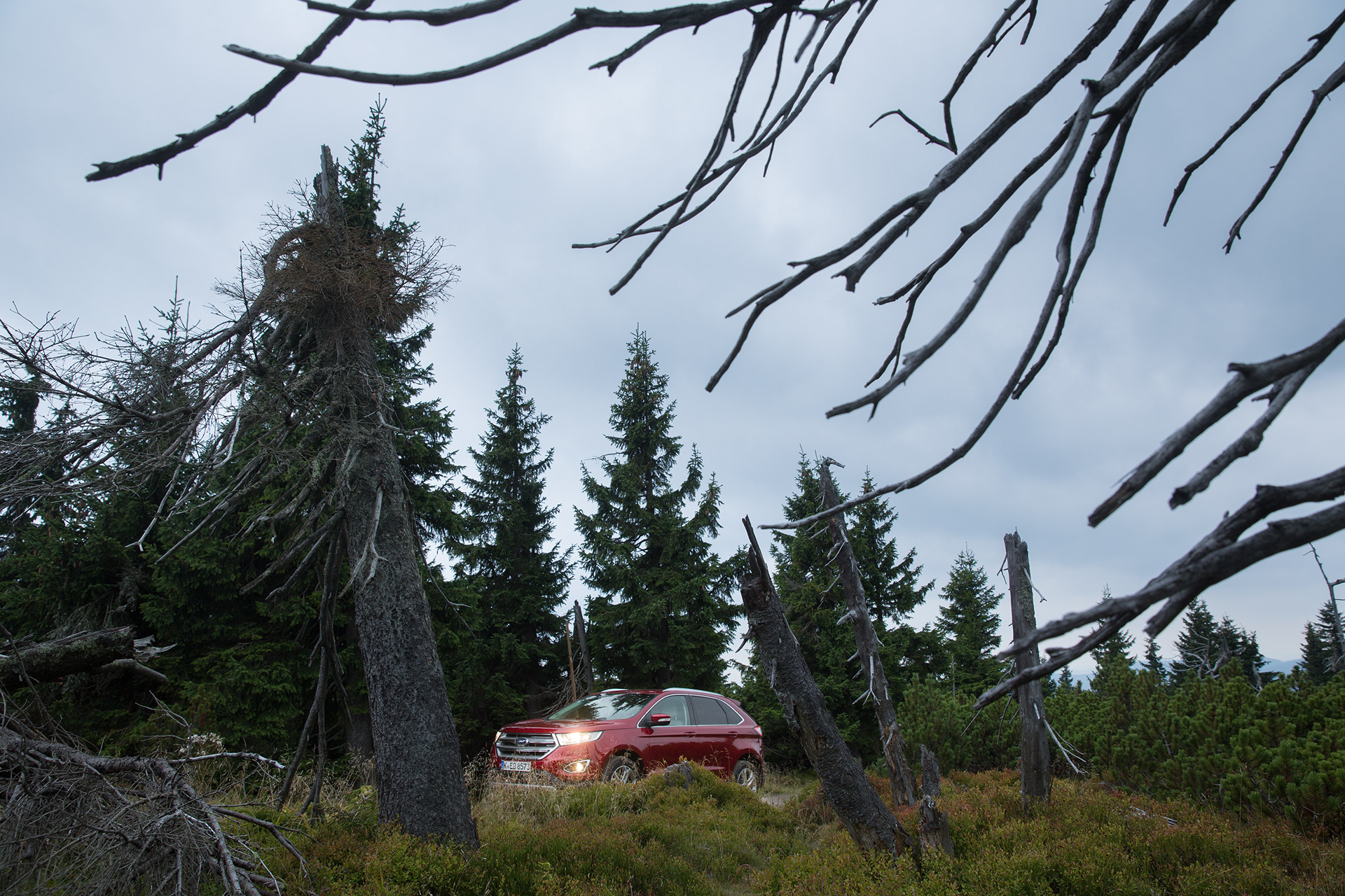 Lukáš Žentel & Milan Jaroš for Ford