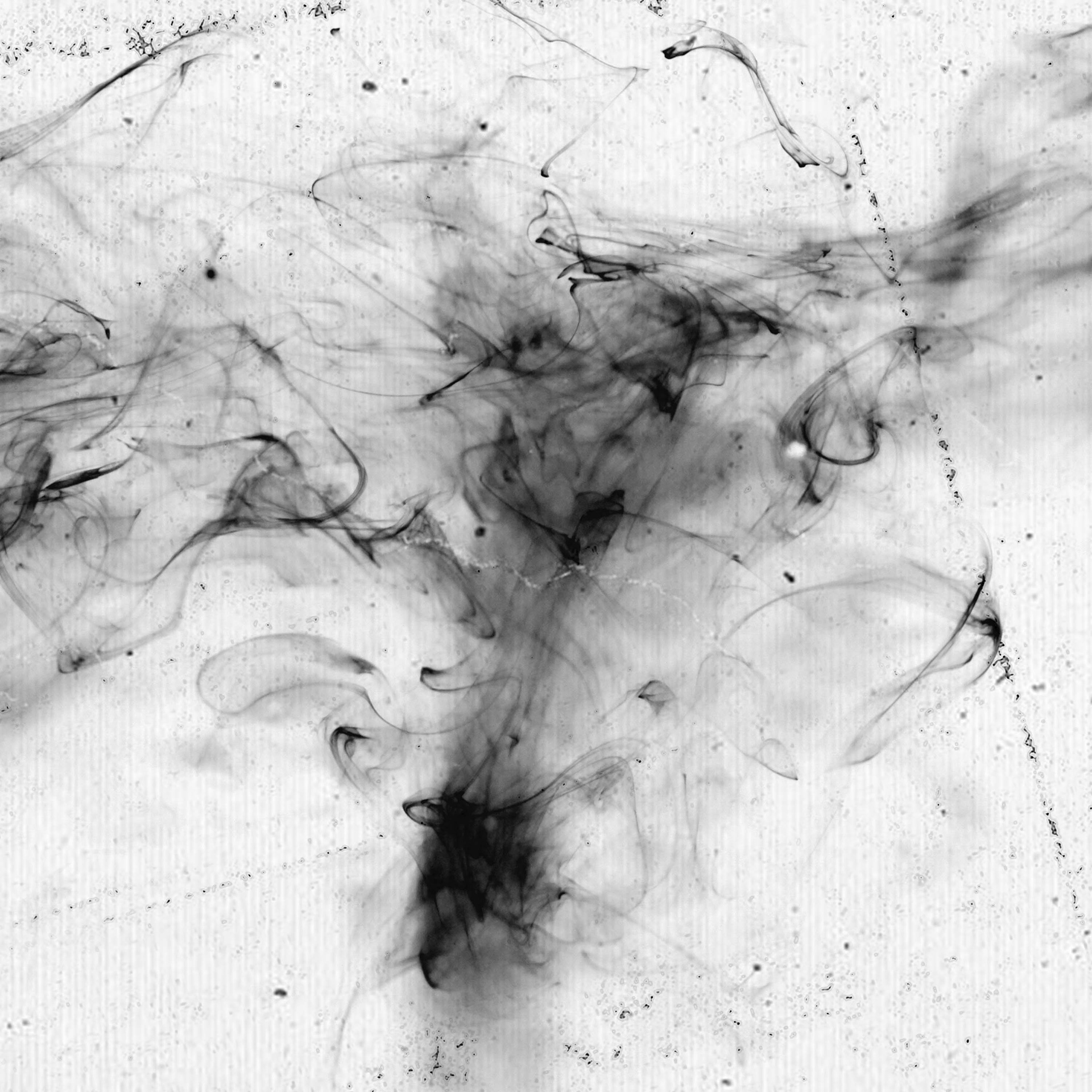 Waste VIII. 2021.