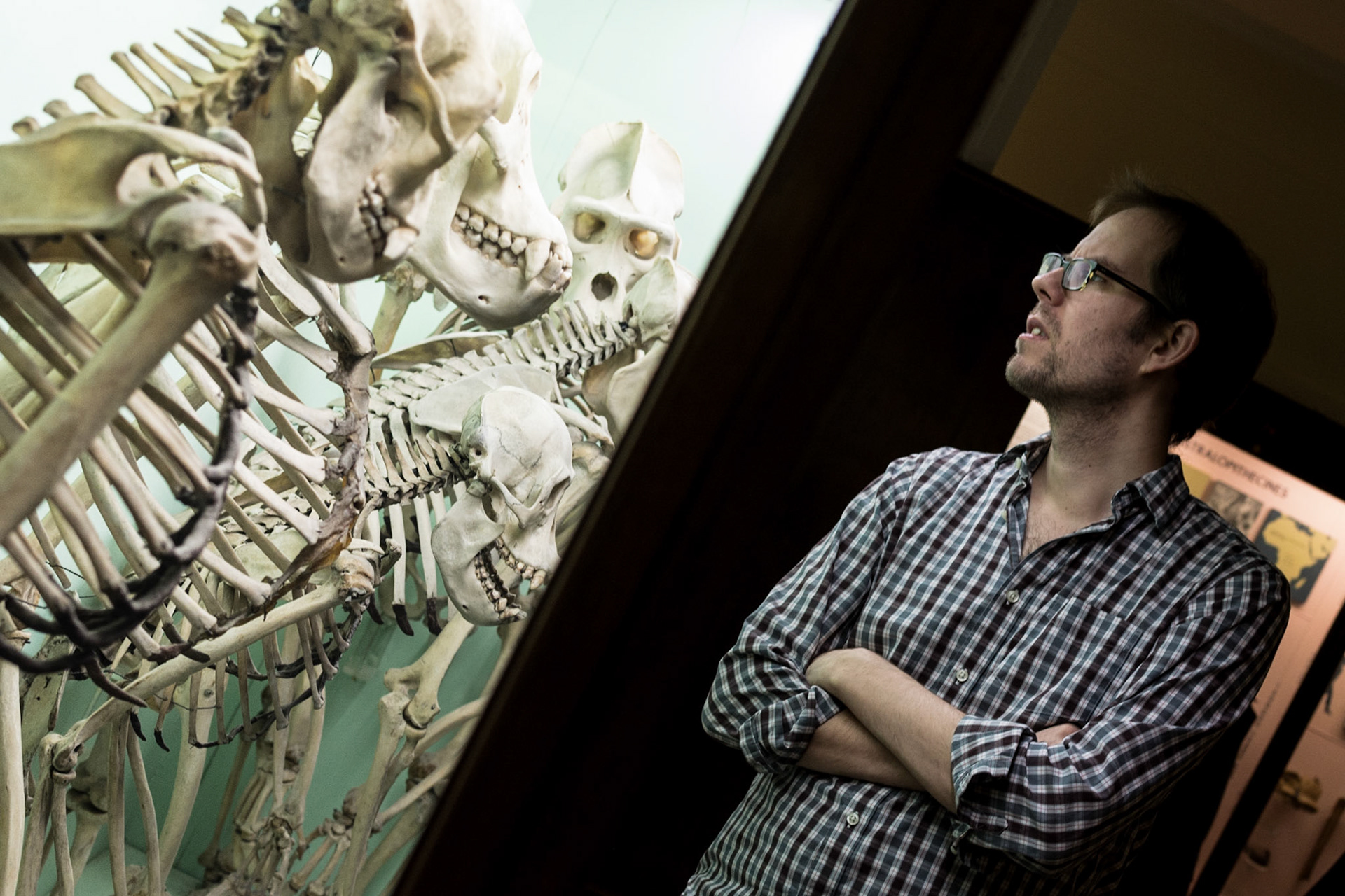 Horniman Musem (London)