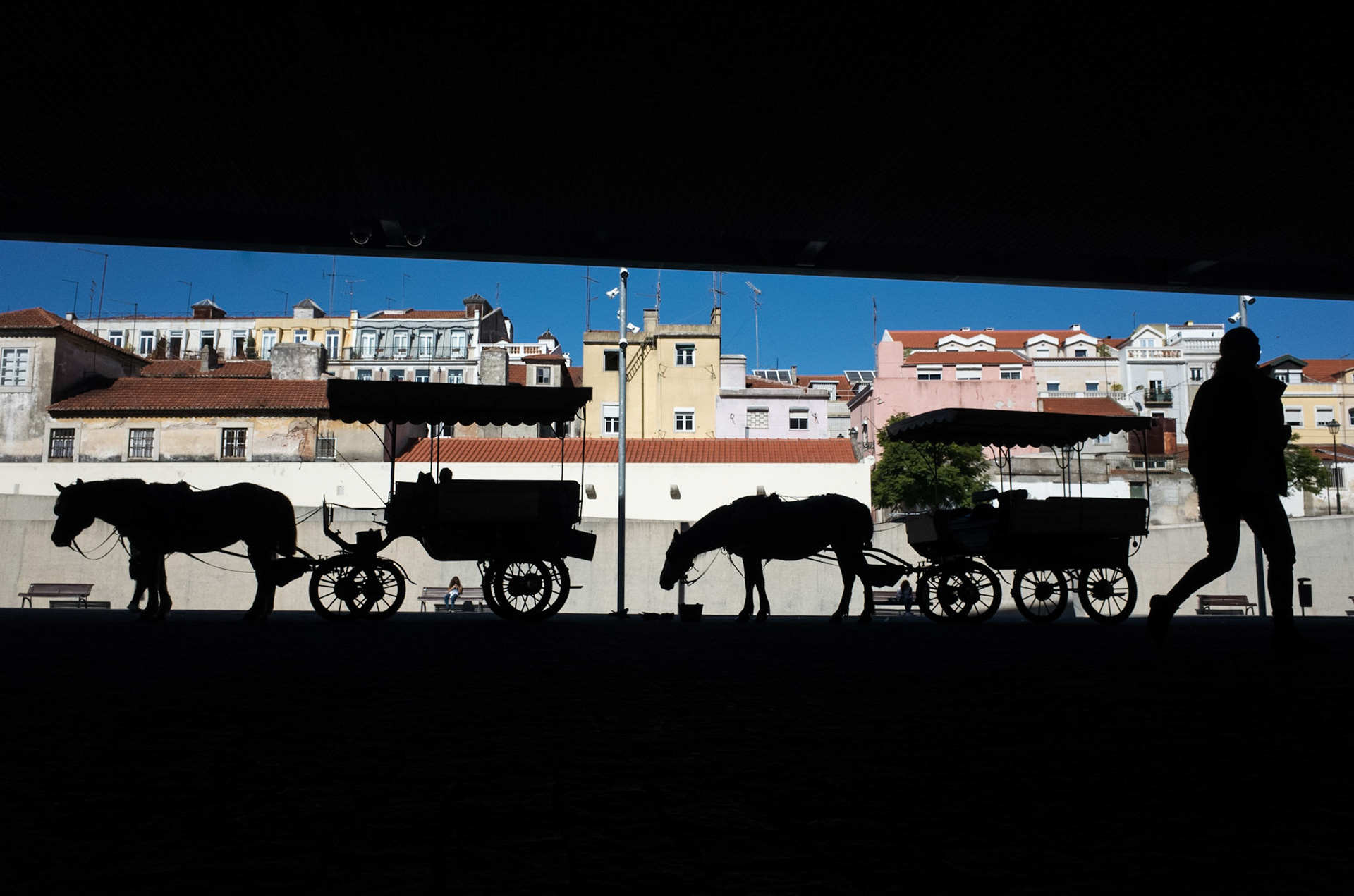 Museu dos Coches (Lisboa)