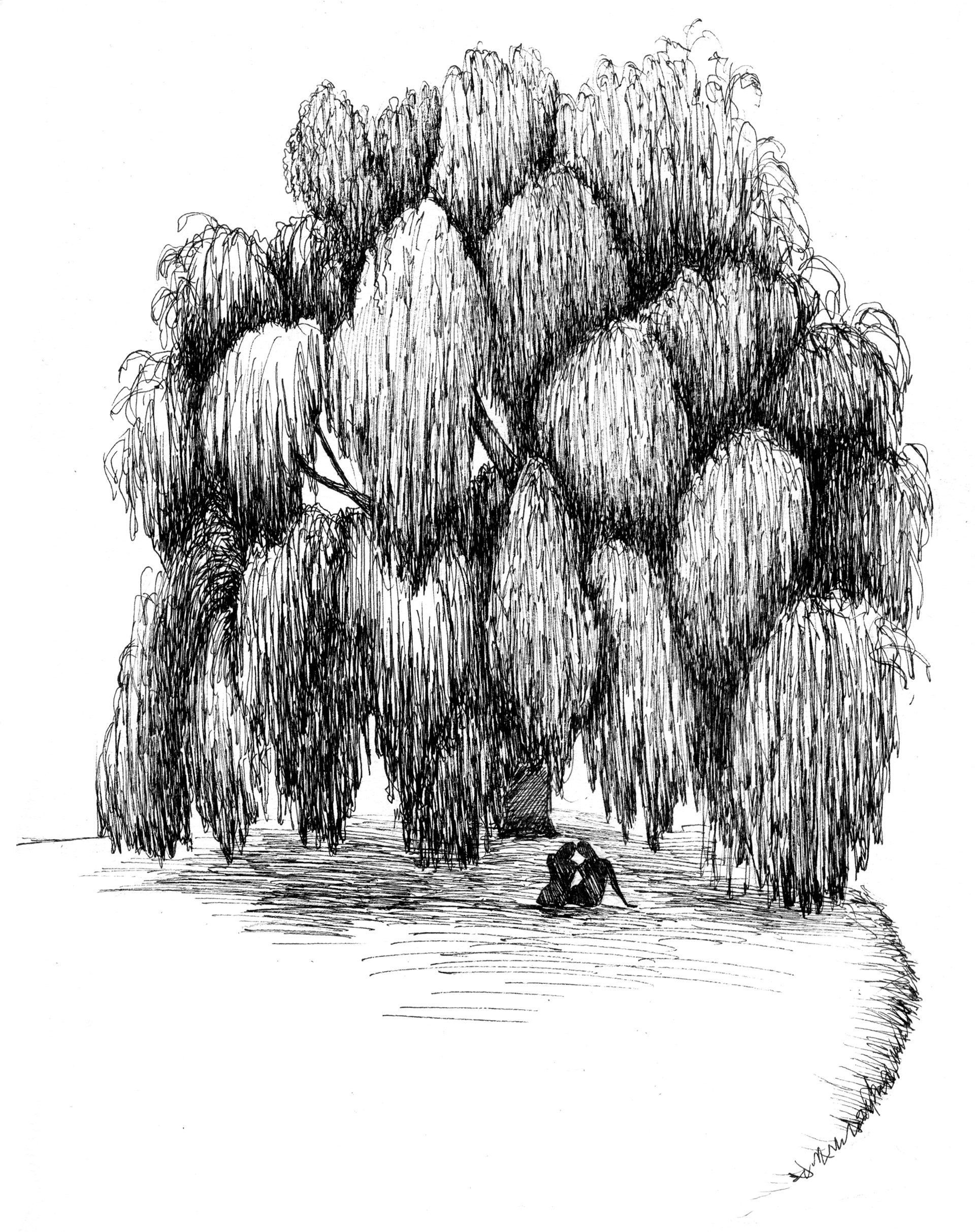 Willow