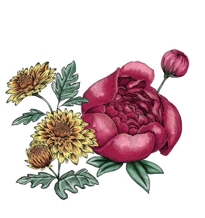 Mums and Peonies