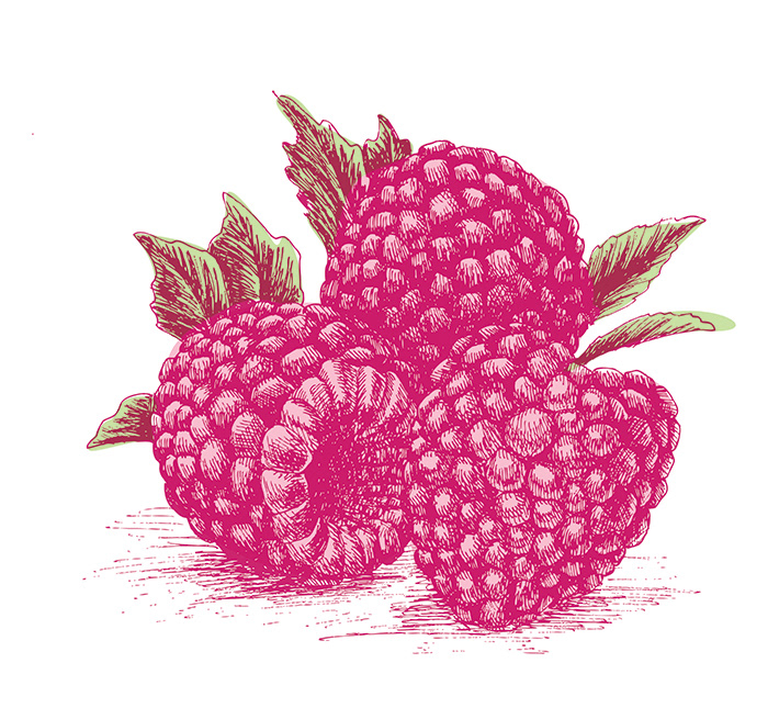 Raspberries