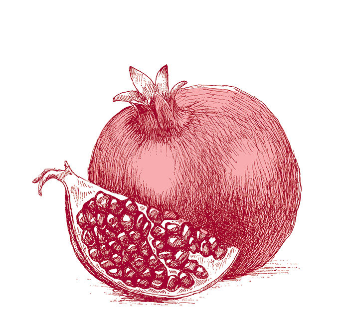 Pomegranate