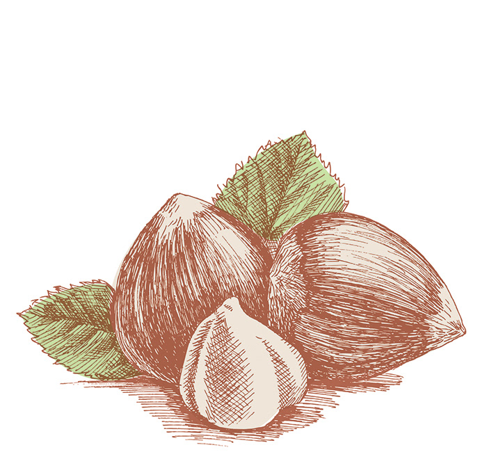Hazelnut