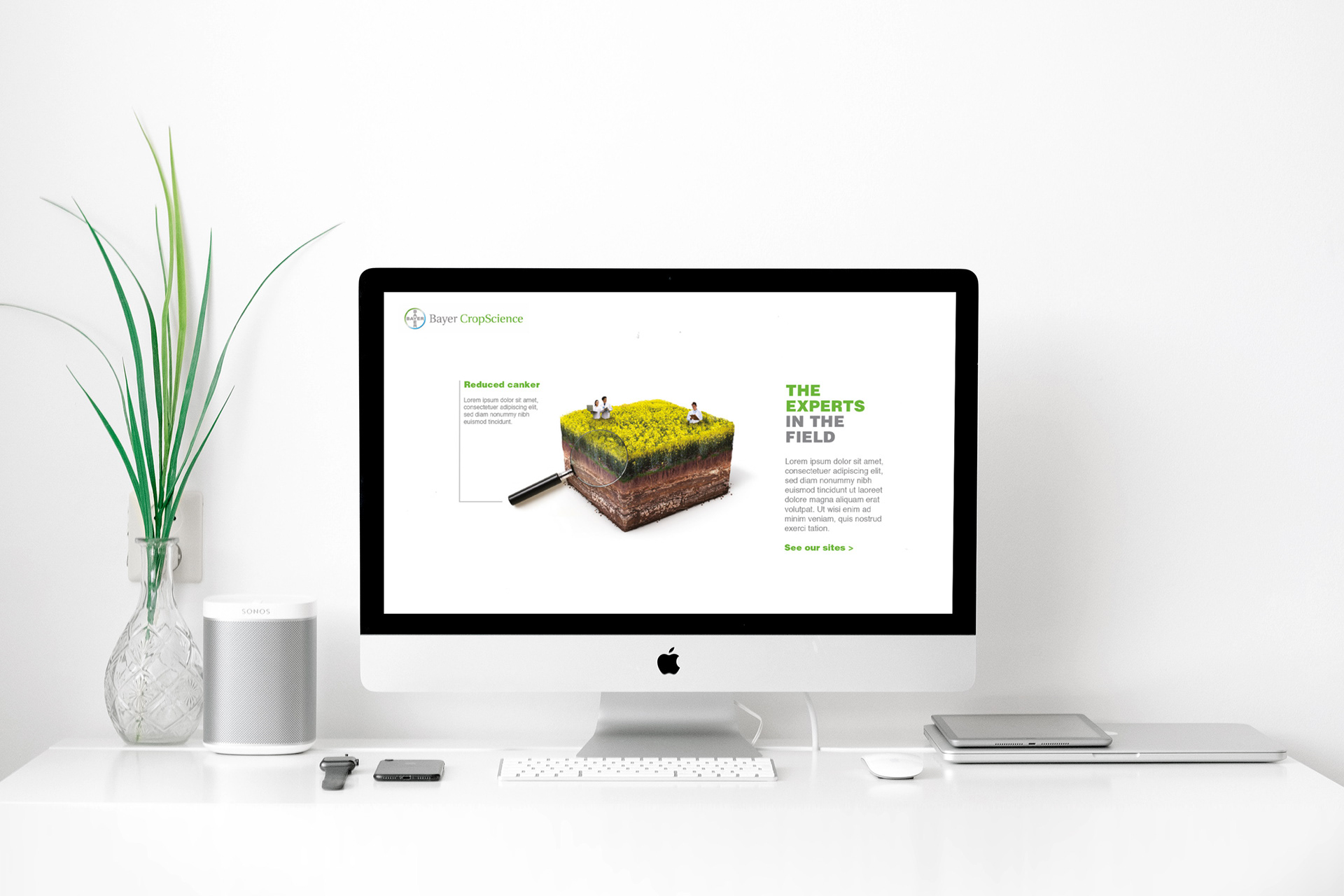 Microsite