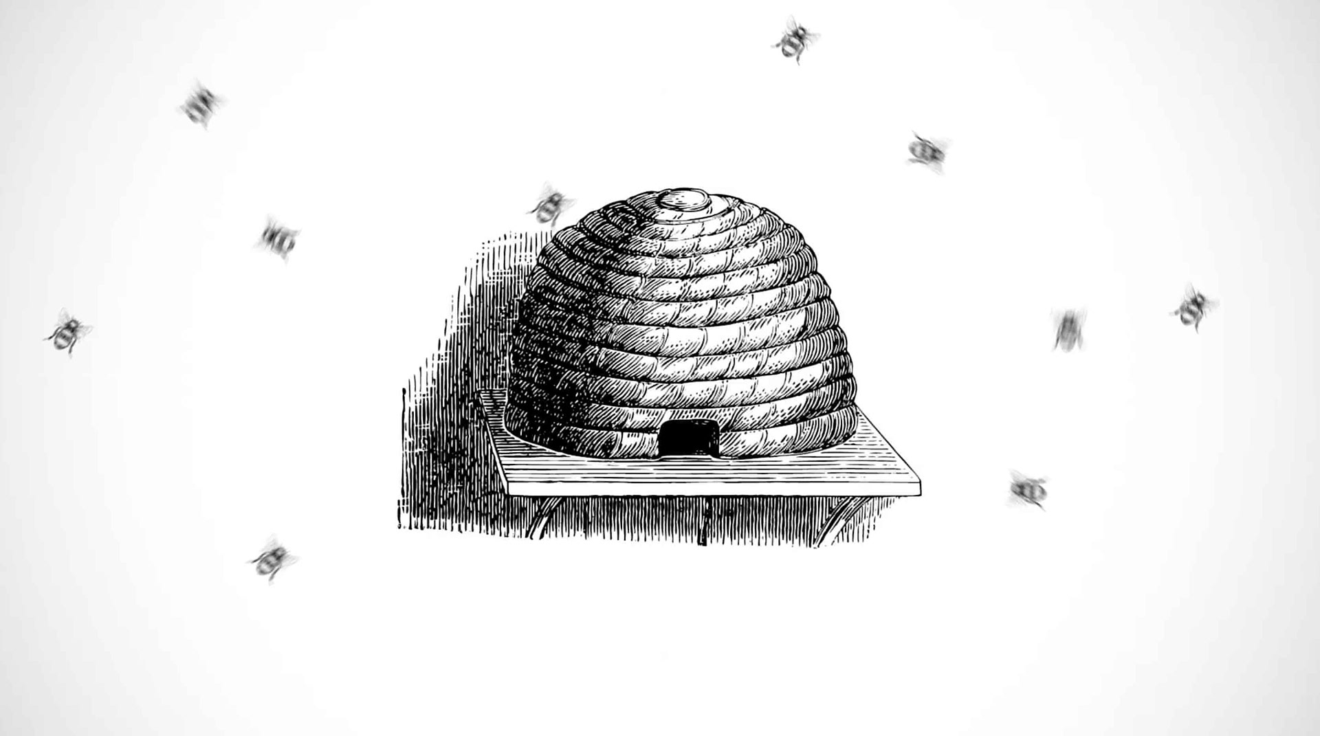 Animation still
