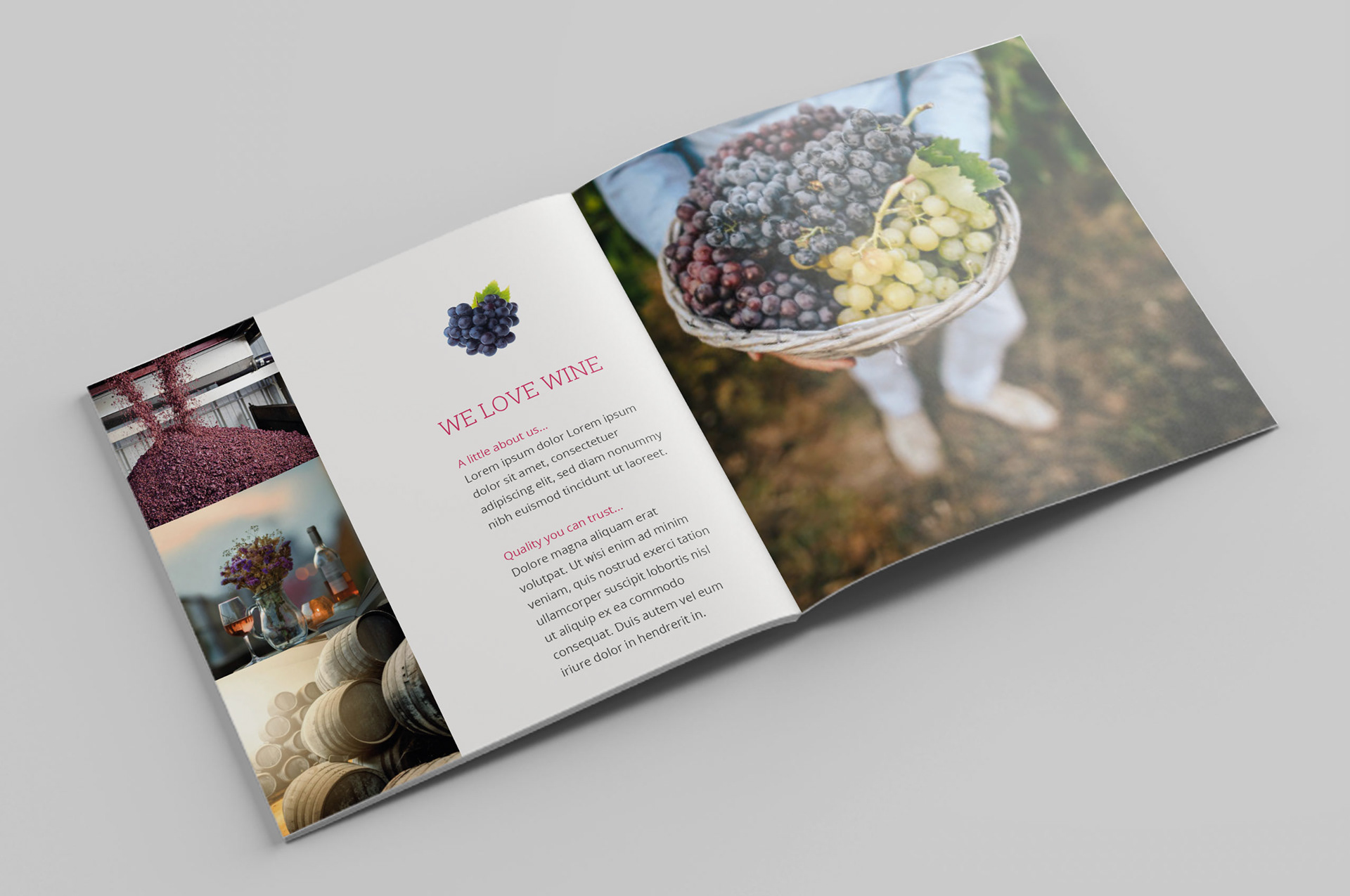 Brochure interior