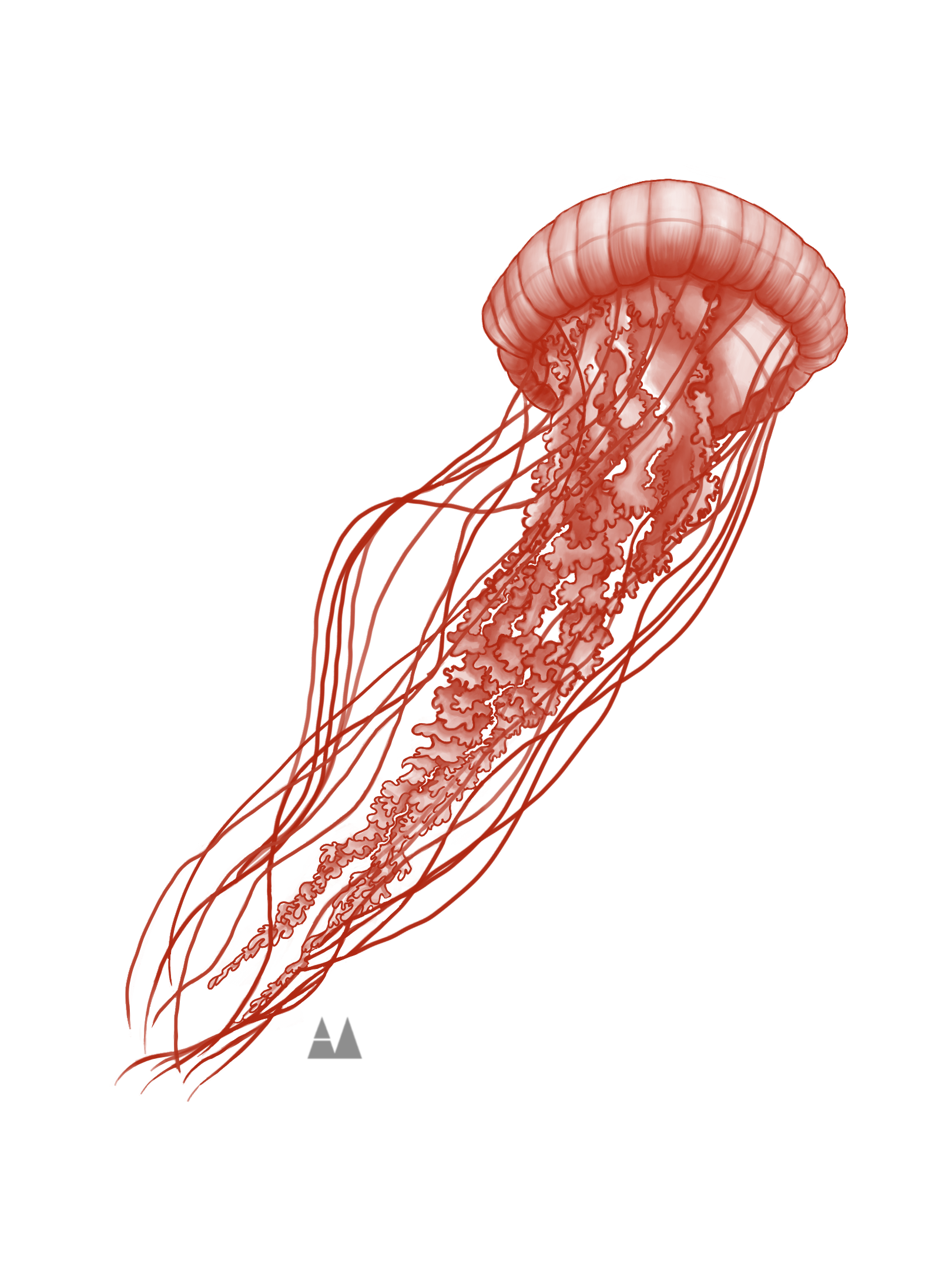 "Jelly Study". Procreate, 2023.