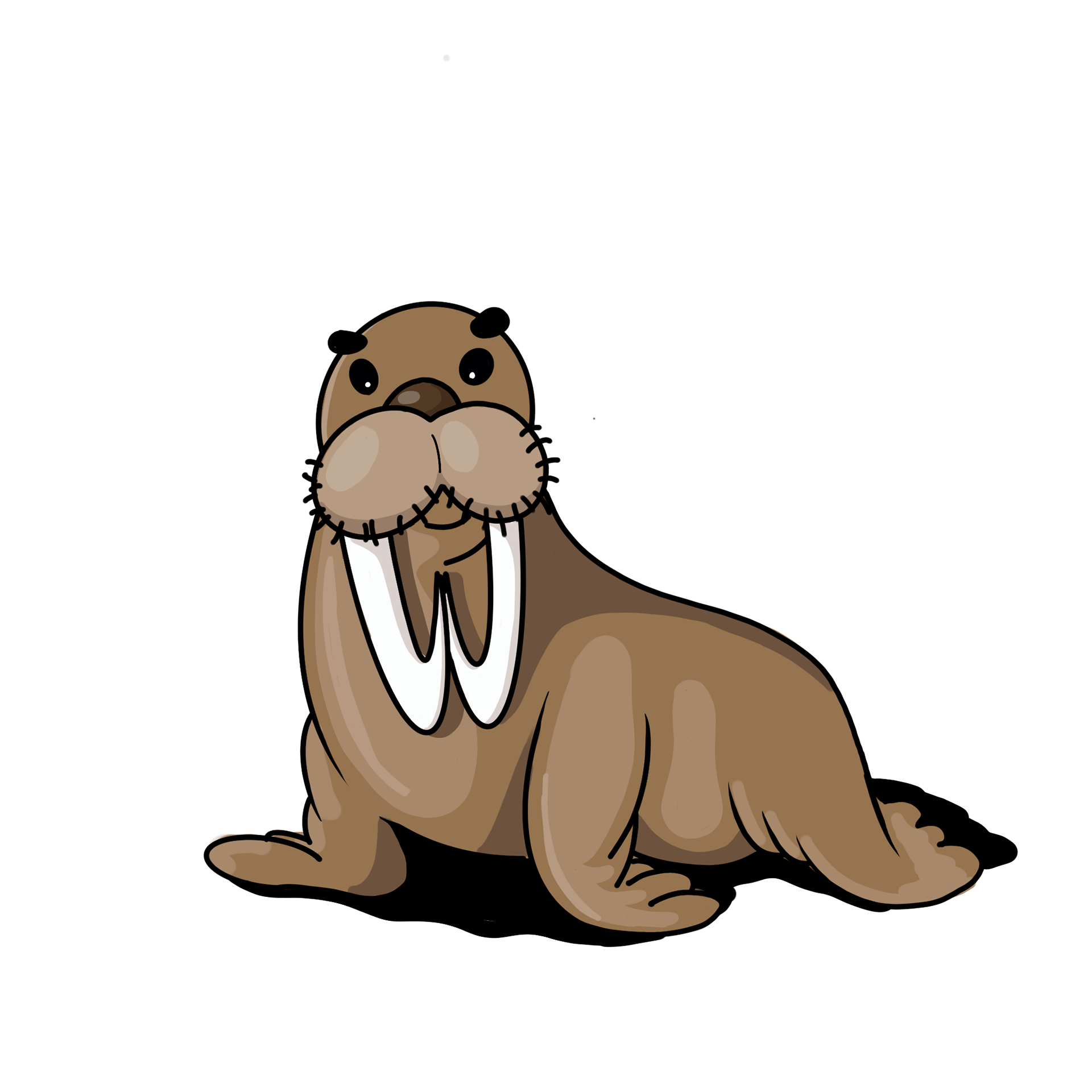 W is for Walrus