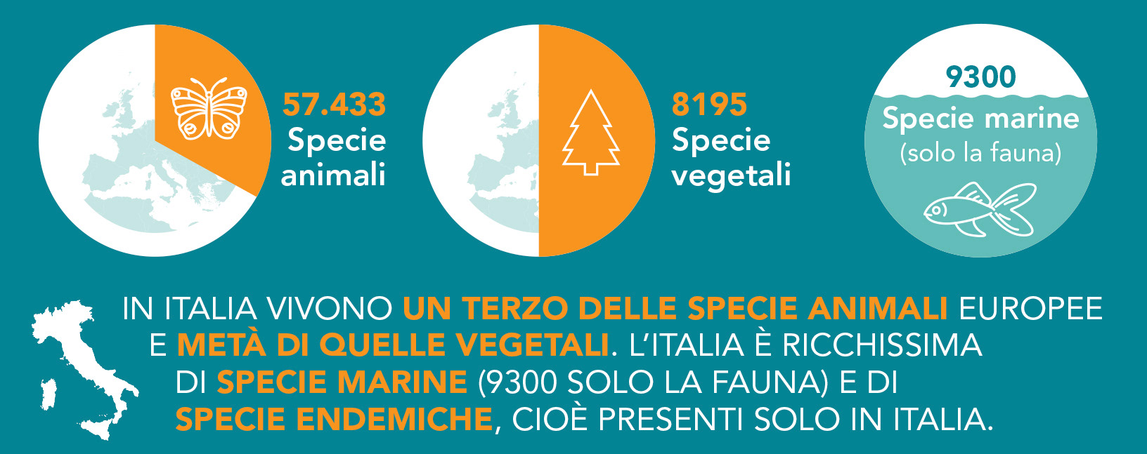 Mondadori Education