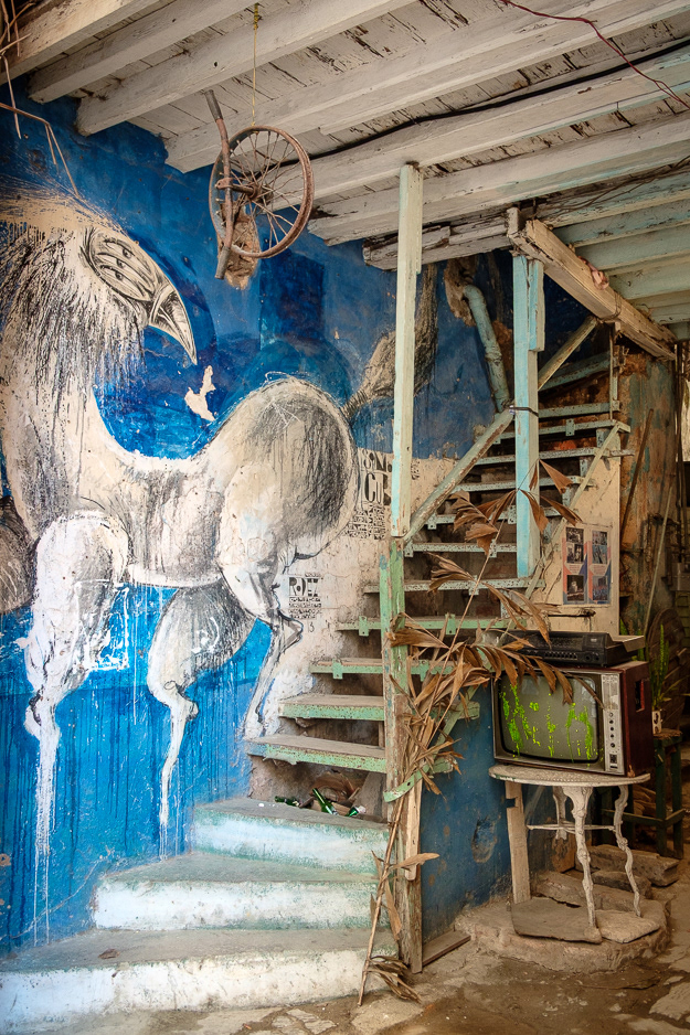 WHITE HORSE ・ Havana Vieja, Cuba-2018 - ID #021