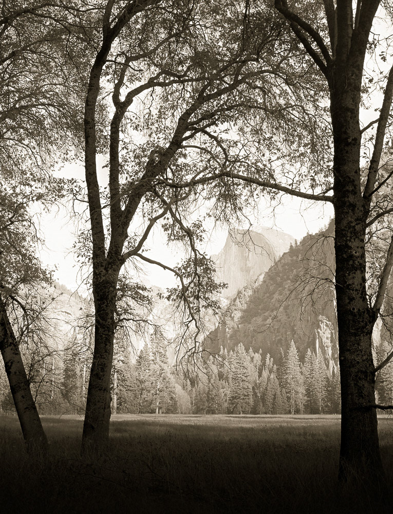 Half Dome from Leidig meadow