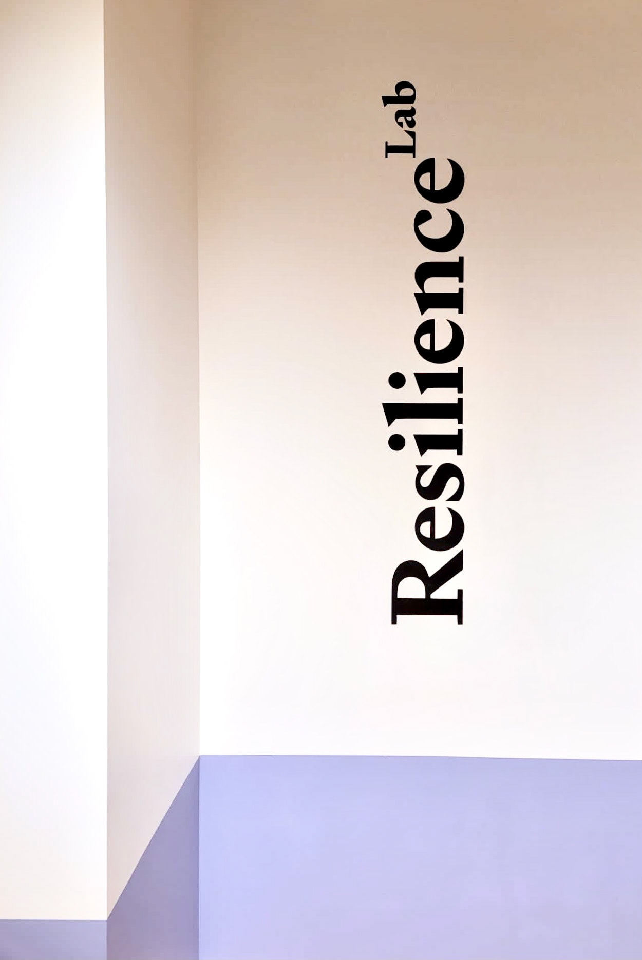 Resilience Lab Flatiron district NY  9’ x 7’   Acrylic on wall stencil