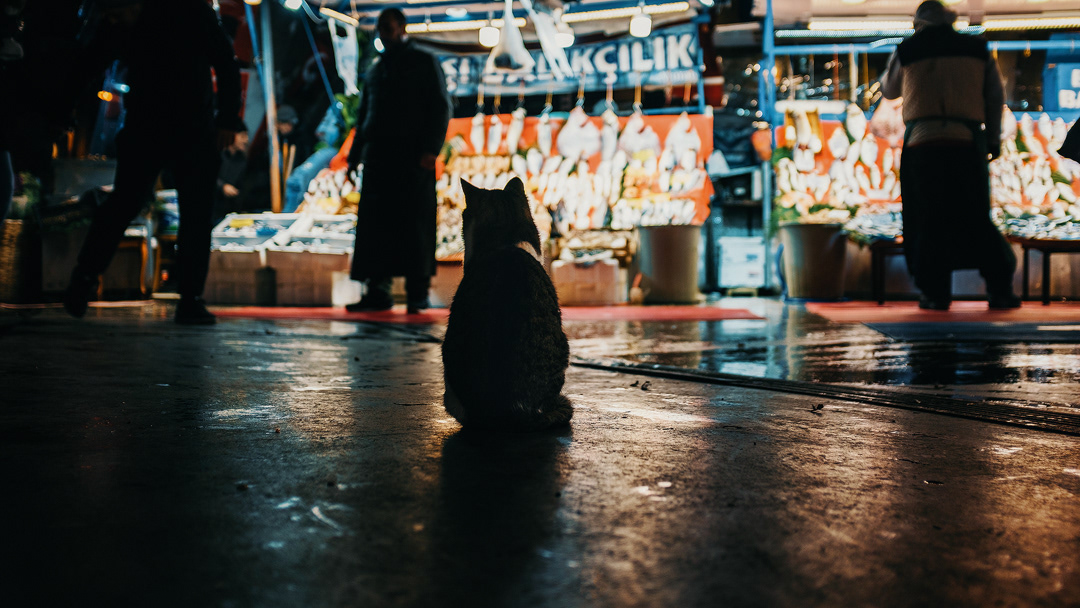 Istanbul, Türkiye
