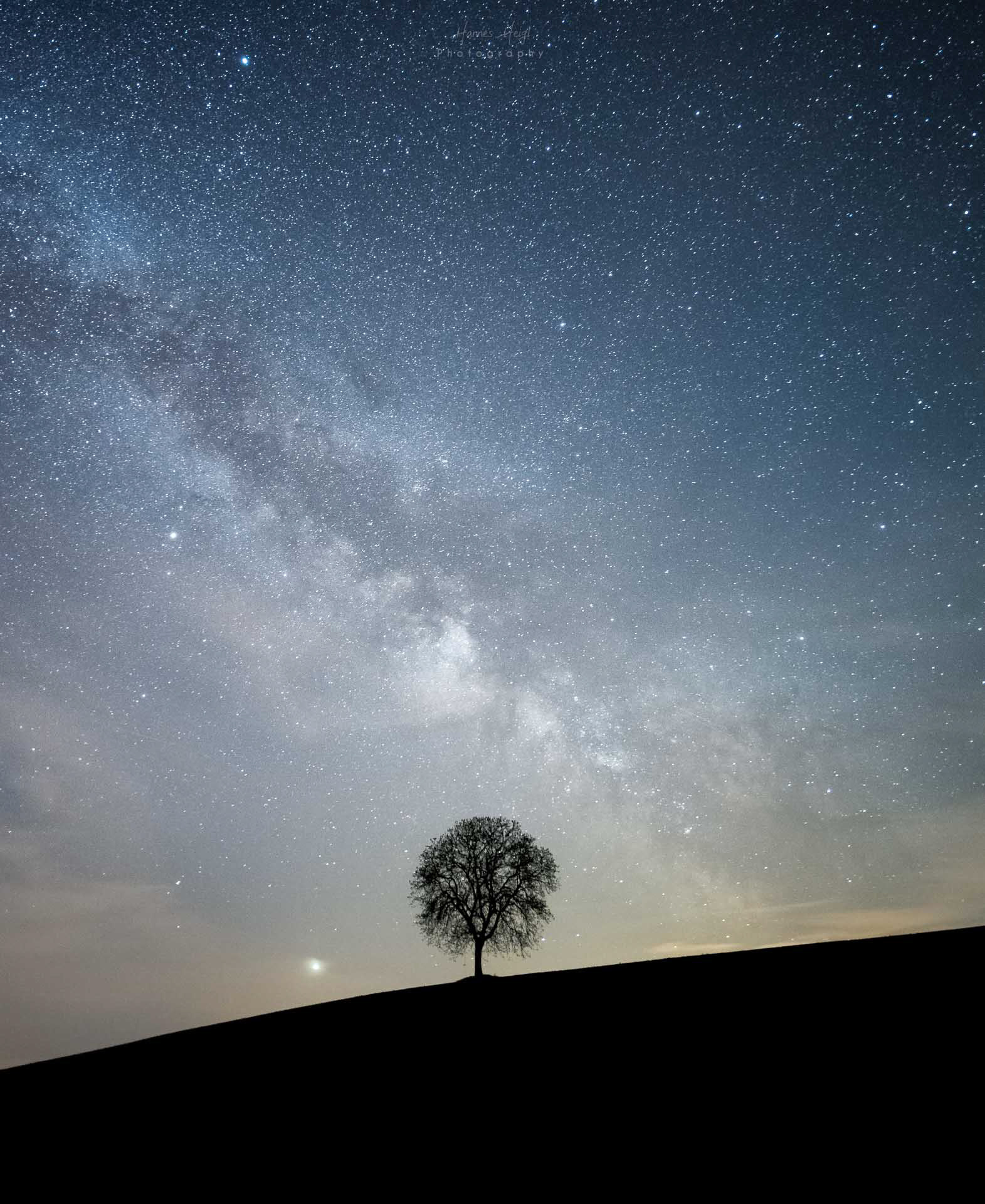 Milchstraße mit Baum