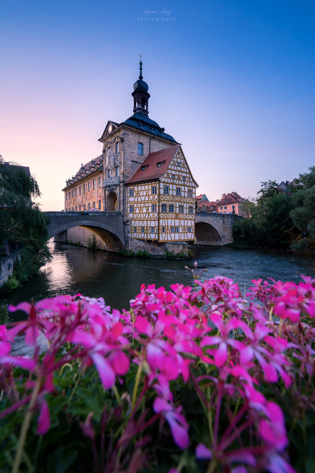 Rathaus Bamberg mit Blumen