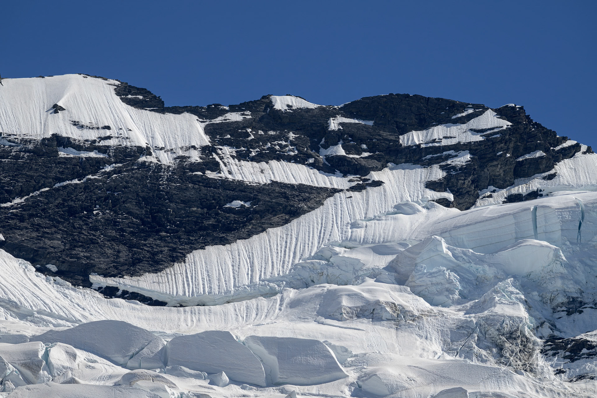 Ice patterns on the tops.