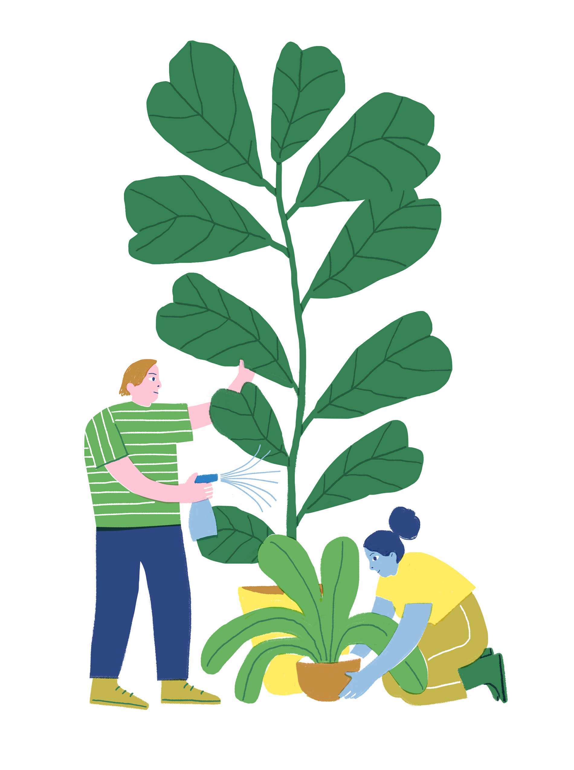 Illustration of a community garden, two people are taking care of a plant together