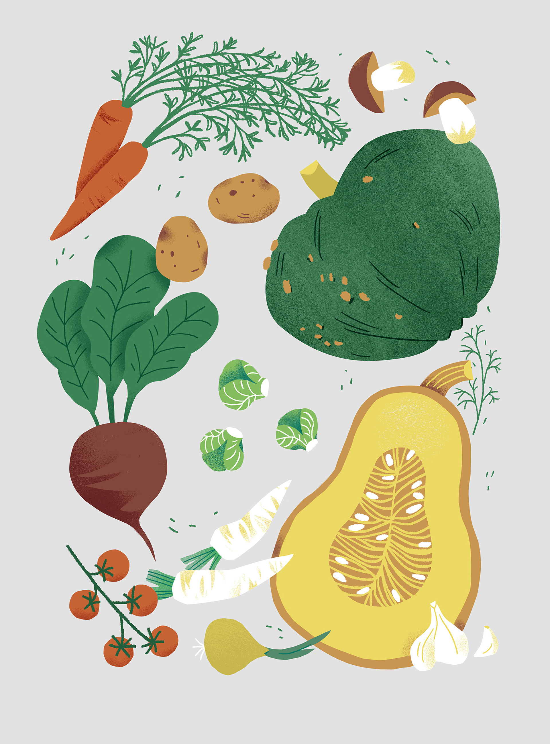 Flat, texured illustration of a seasonal vegetables in warm autumn colors