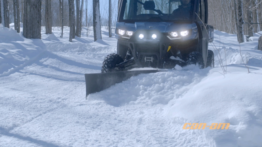 Tracking and logo removal