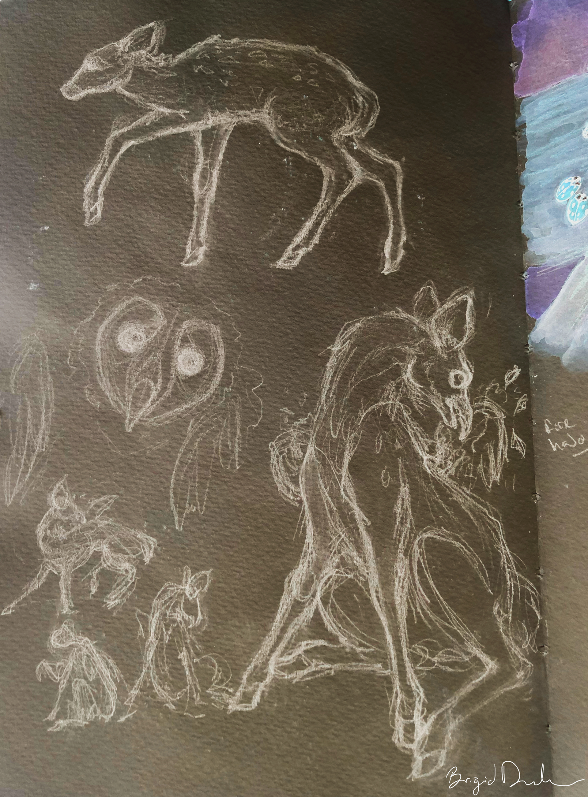 Creature Sketches: Pencil (Inverted) 