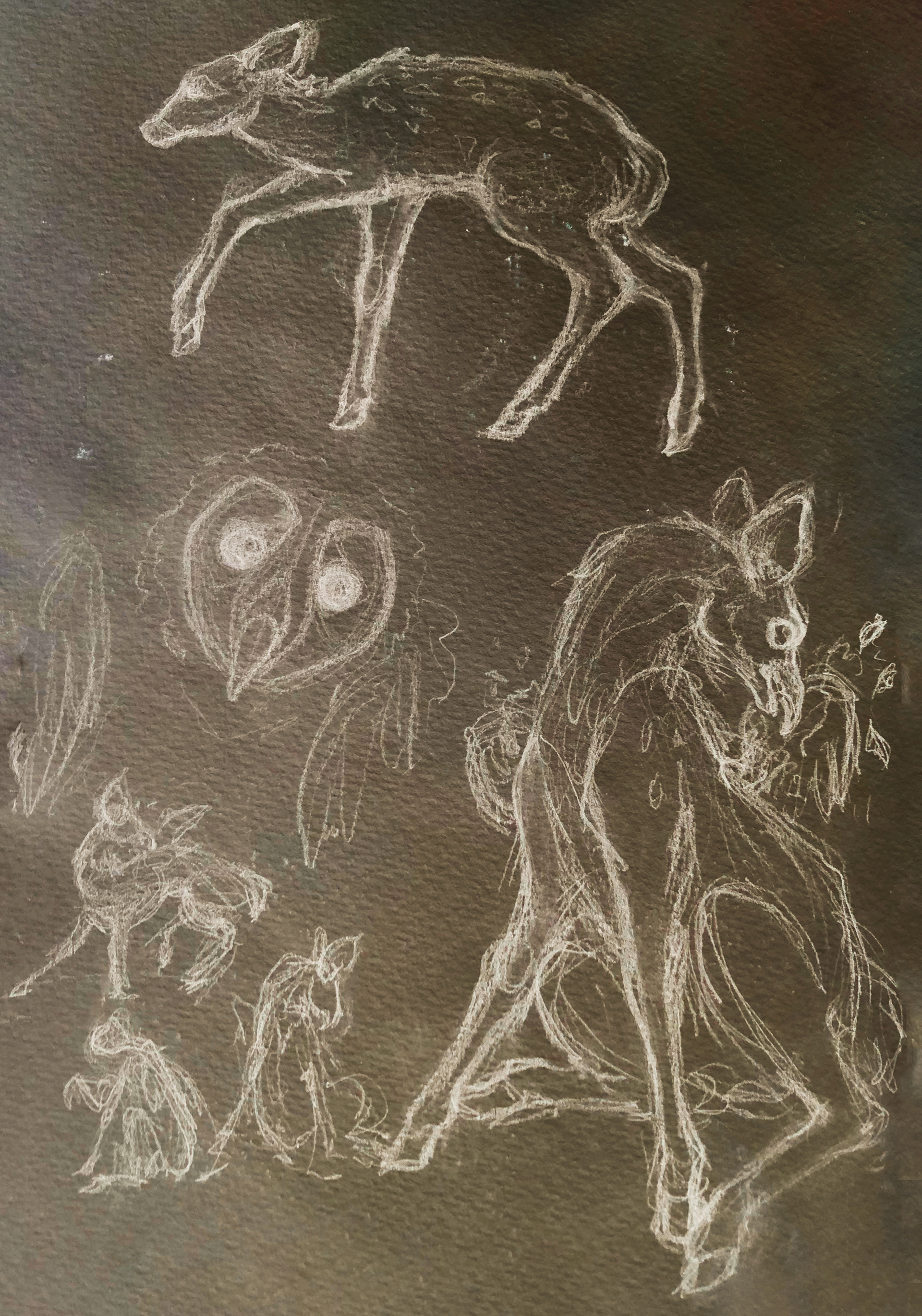 Creature Sketches: Pencil (inverted)