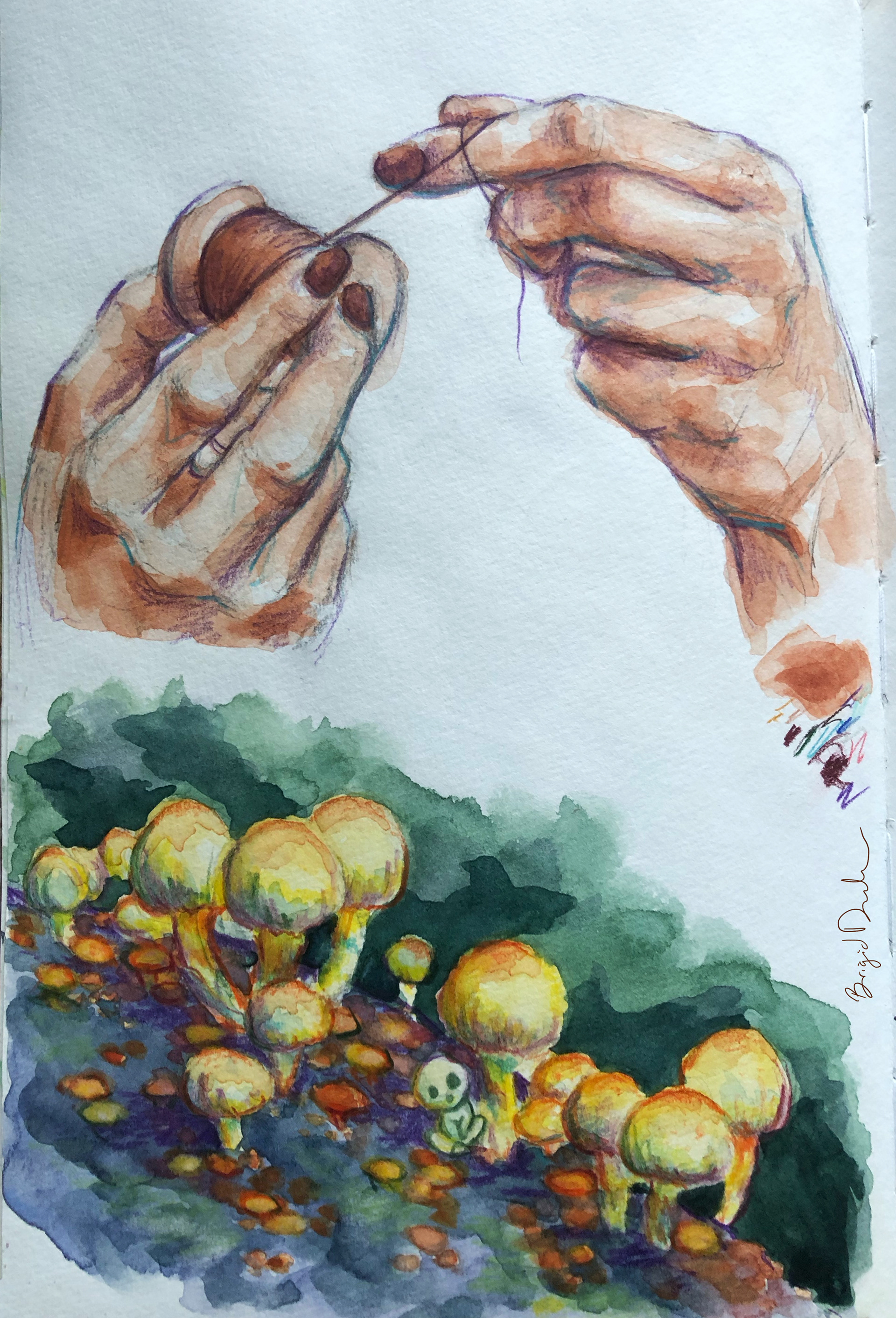 Hands and Mushrooms: Watercolor and Color Pencil 