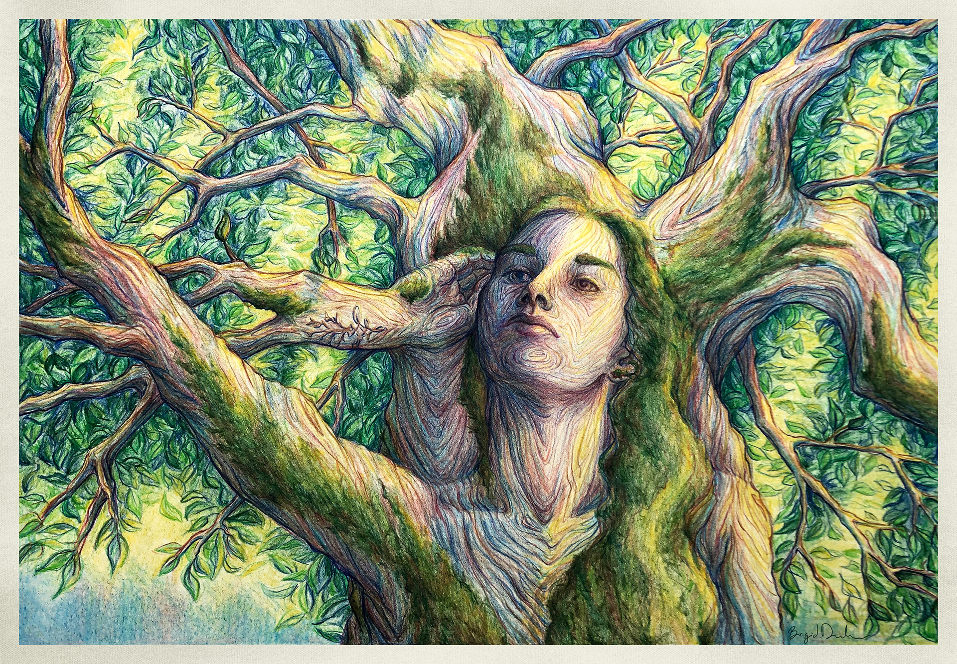 Waking Wood Portrait: Color Pencil on Paper 22 x 16 in.