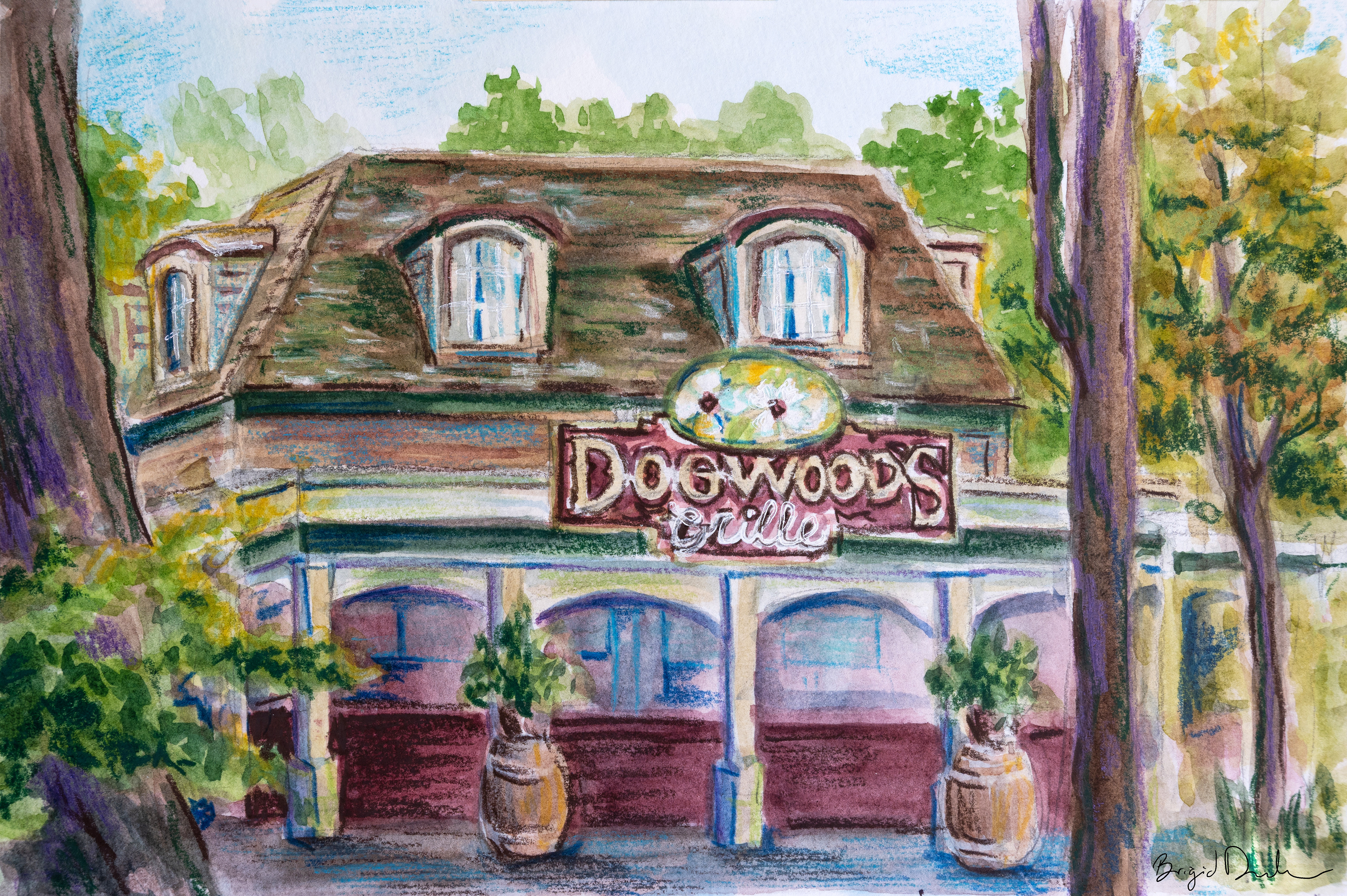 King's Dominion Dogwood's: Watercolor and Color Pencil
