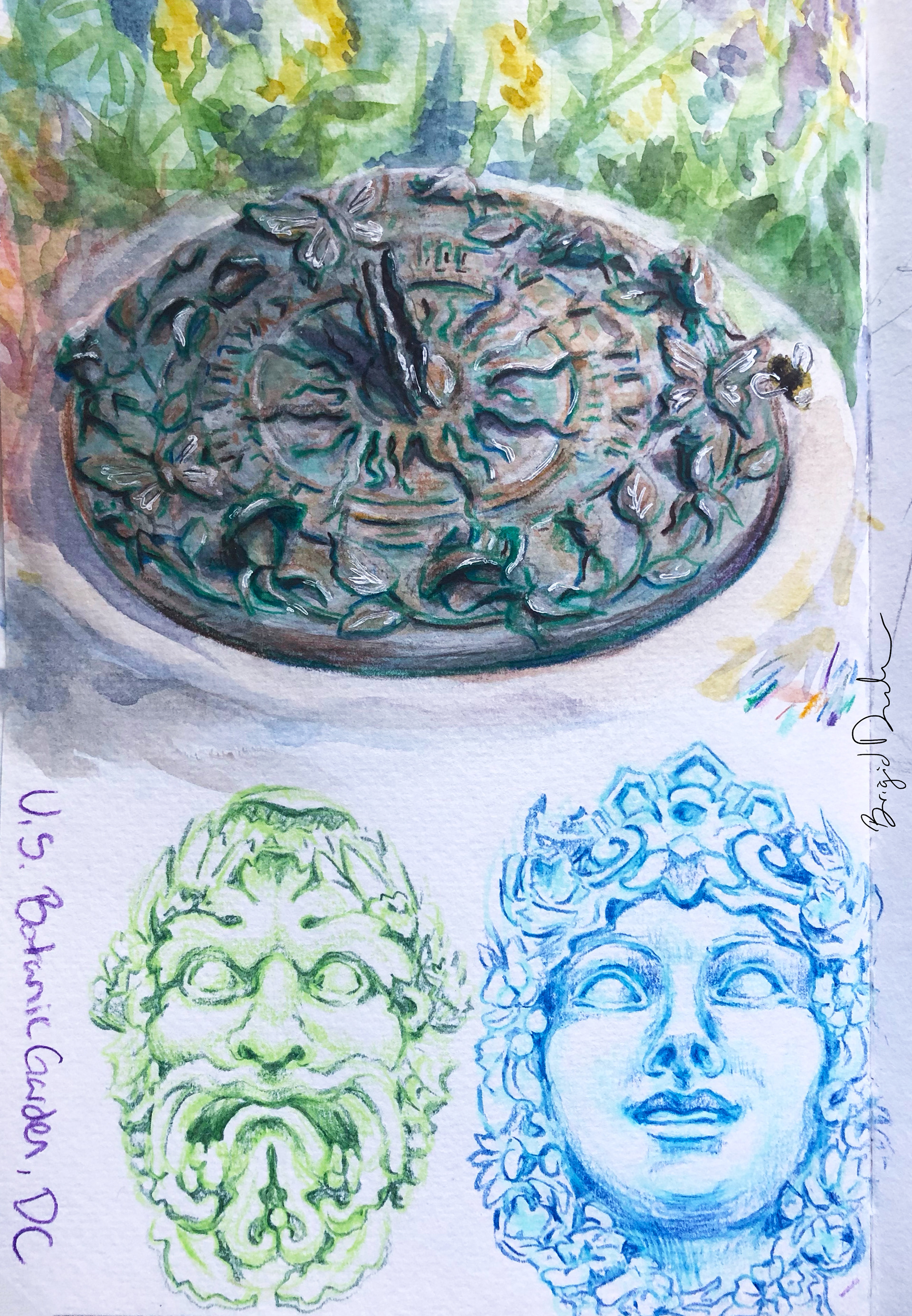 DC Garden: Watercolor and Colorpencil