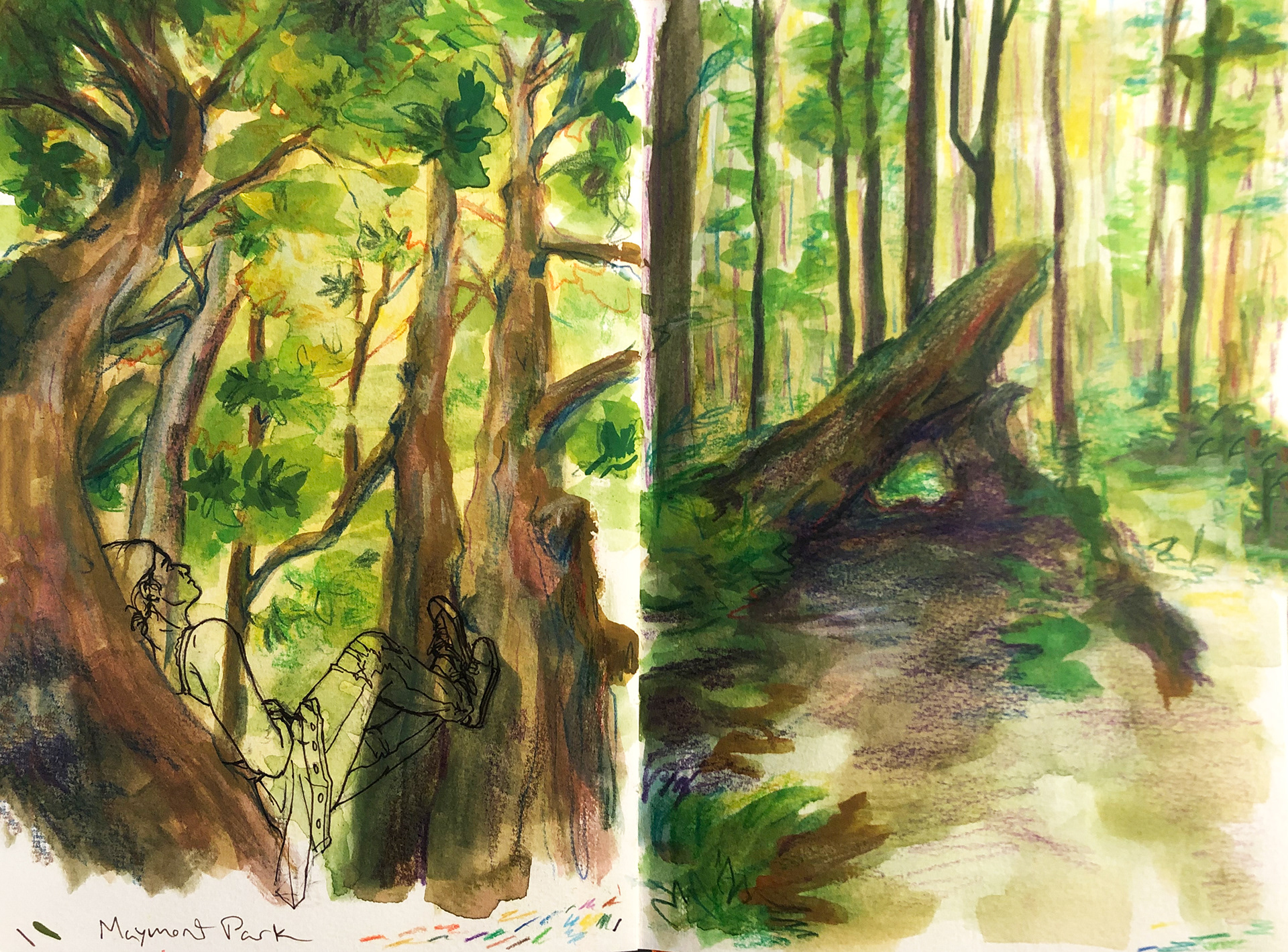 Tree Sketches: Gouache and Color Pencil 