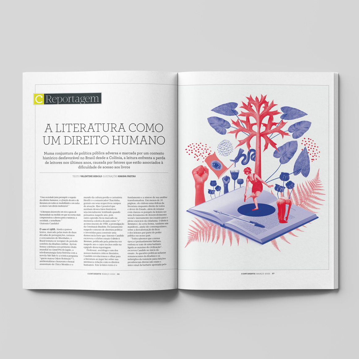 Uma vida tendo o livro como eixo existencial - Revista Continente