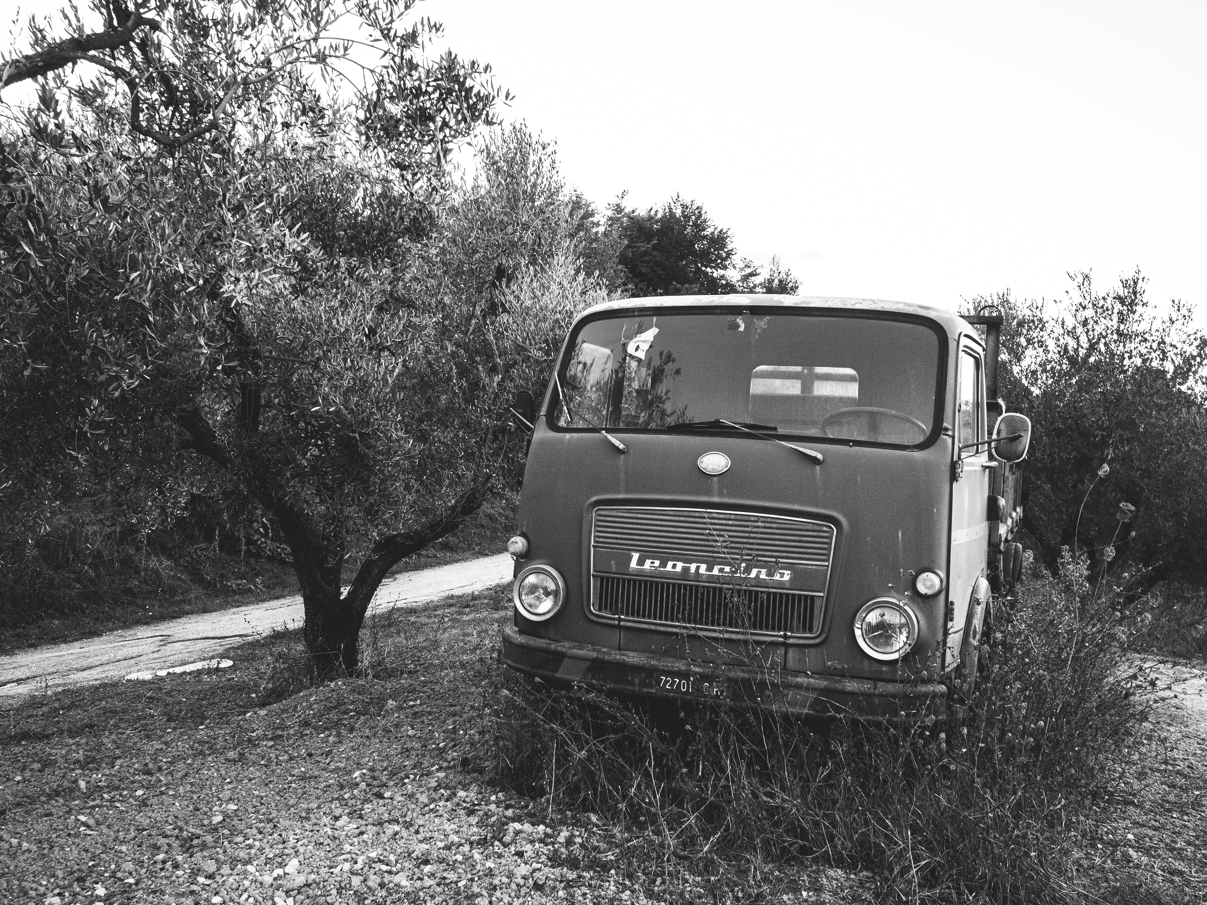 Bucchianico