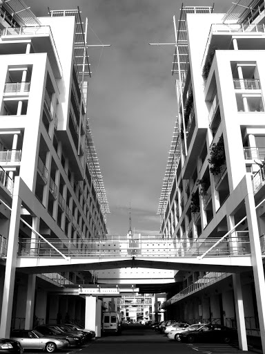 Perspective (Auckland)