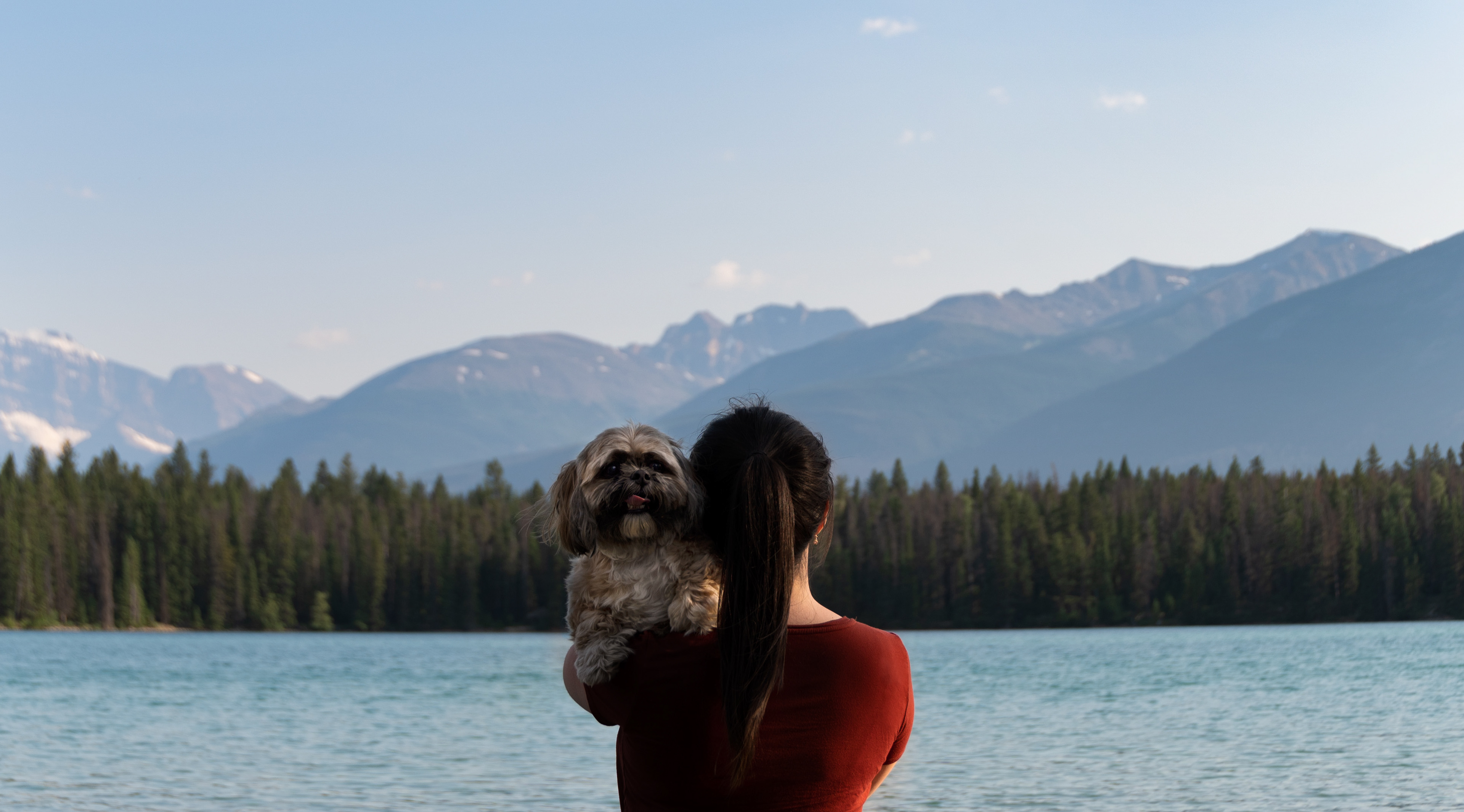 The best travel partner anyone could ask for 🐾