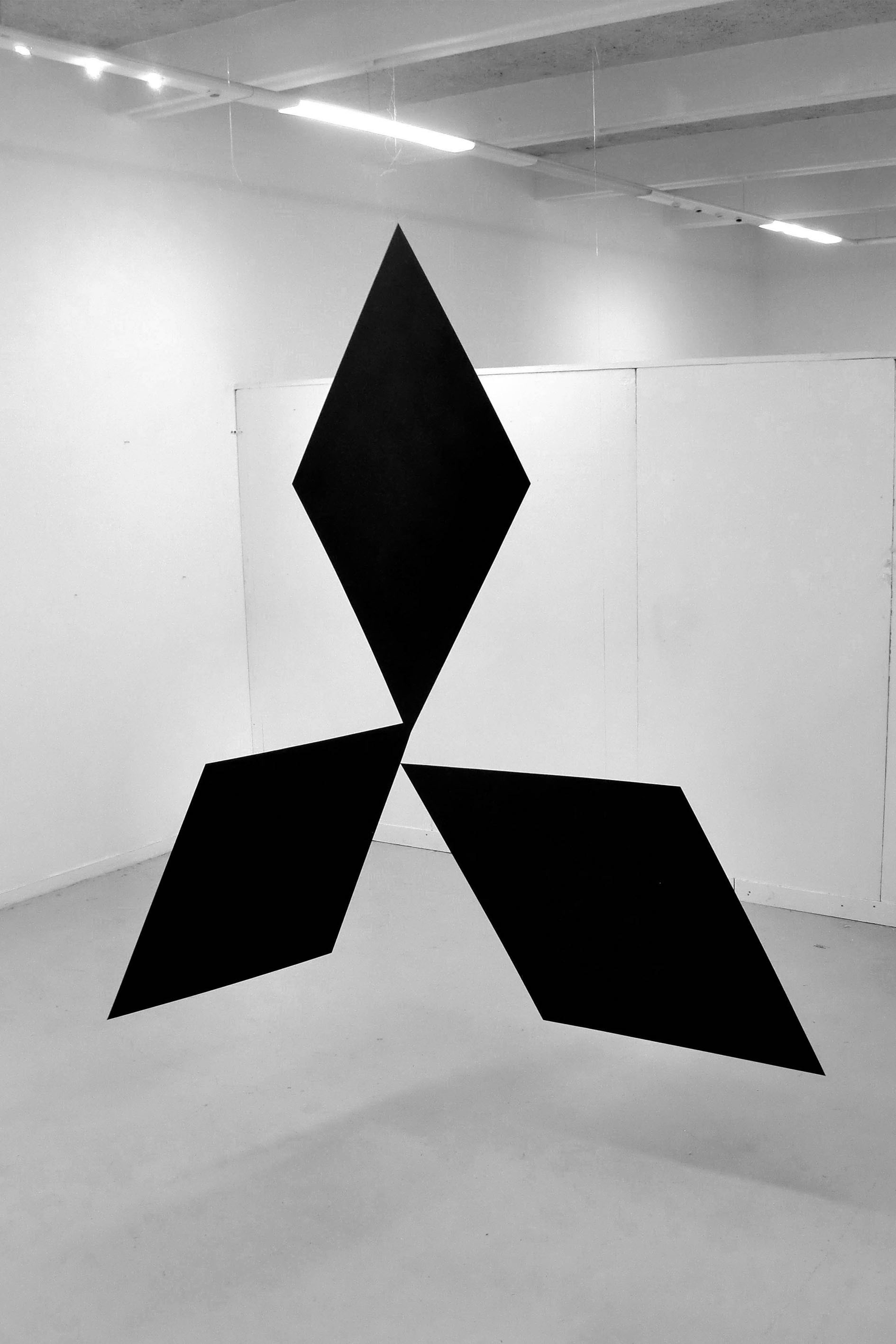 Pajero, suspension, Acrylique sur plaques offset, 200 x 200 x 200 cm, 2012