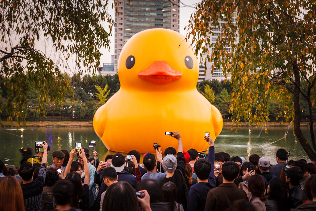 Rubberduck, Seoul