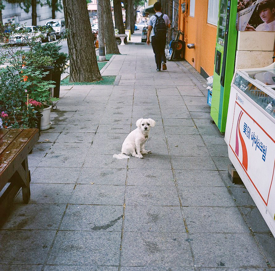 Ordinary Arts, Seoul