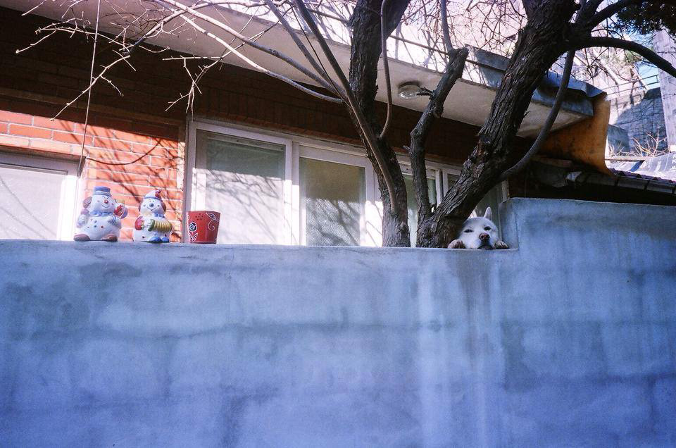 Ordinary Arts, Seoul