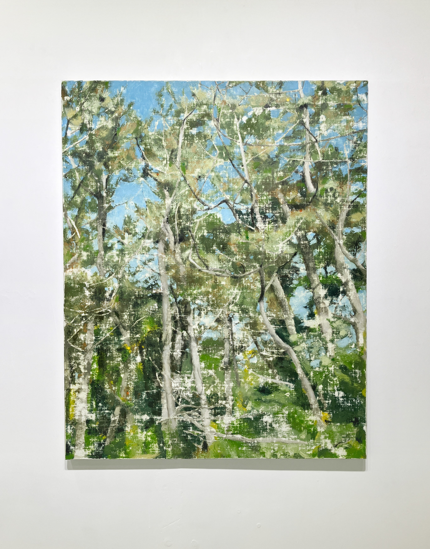 14. 白石雄樹 『防風林 #1 | Landscale』 / キャンバスに油彩 / 803×1000mm / 2025 / ¥138,000