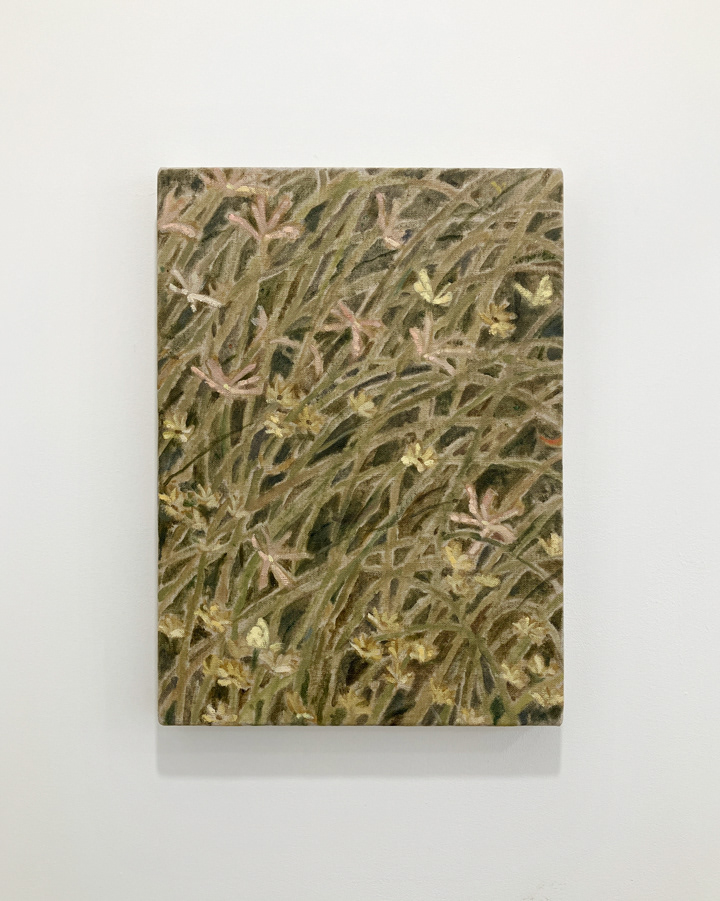 25. 齊藤拓未 『はらっぱ』 / 油彩、キャンバス / 242×333mm / 2026 / ¥69,300