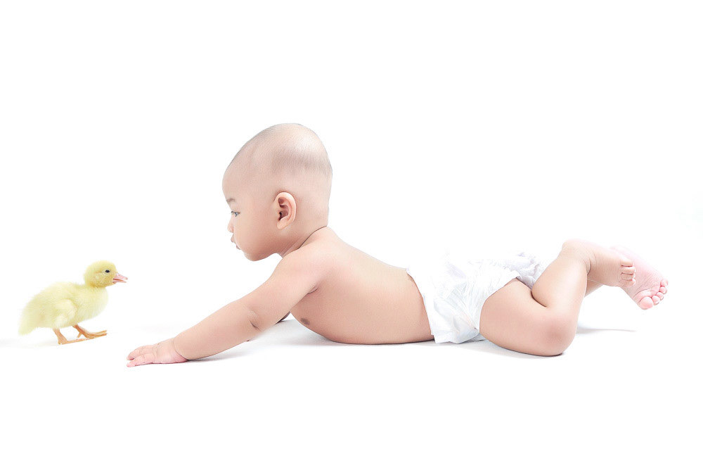 Business concept of baby boy playing with baby duckling.