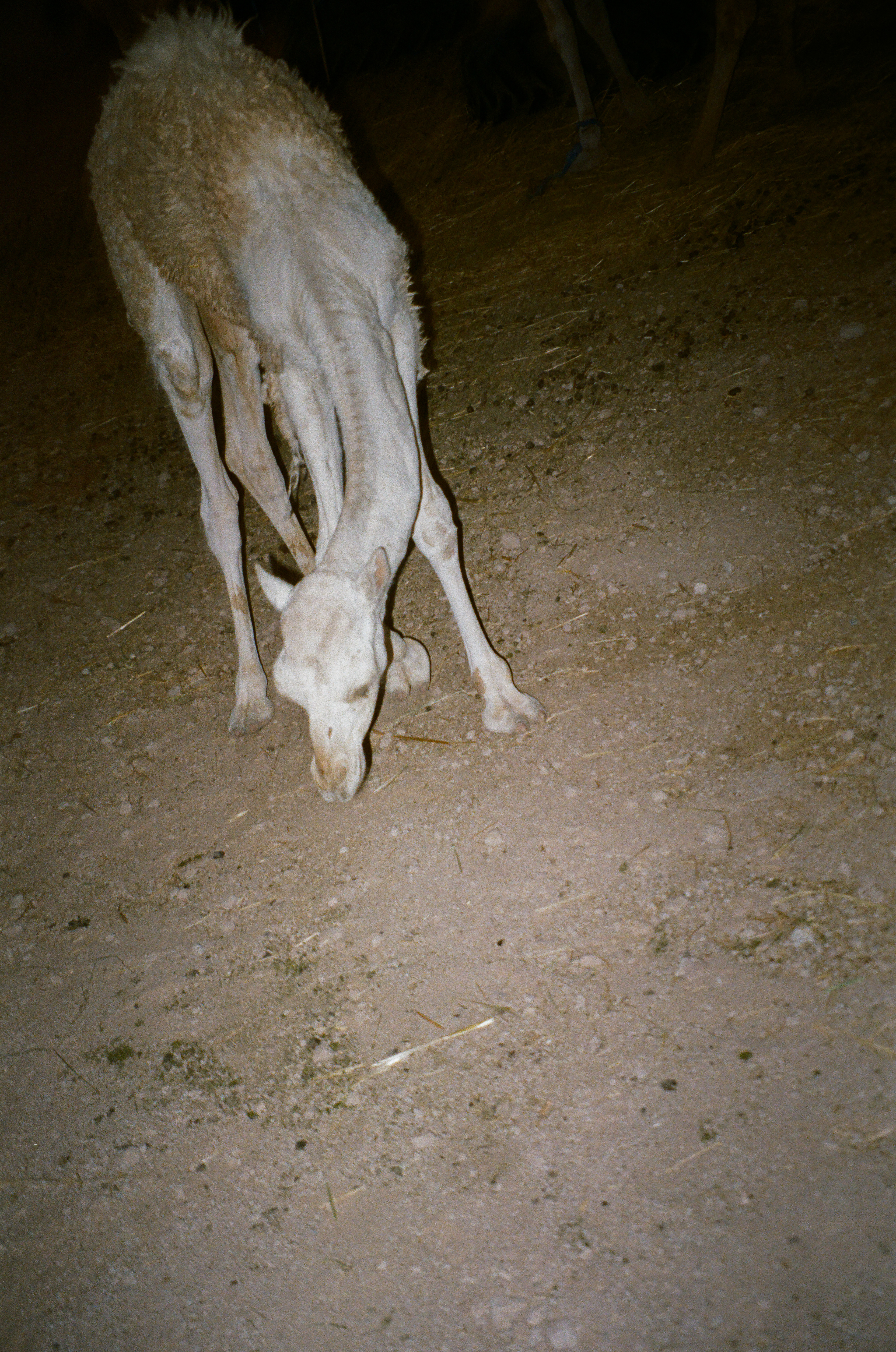 Marrakech, Morocco 2024 
